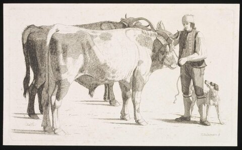 Herdsman with Two Oxen and a Dog