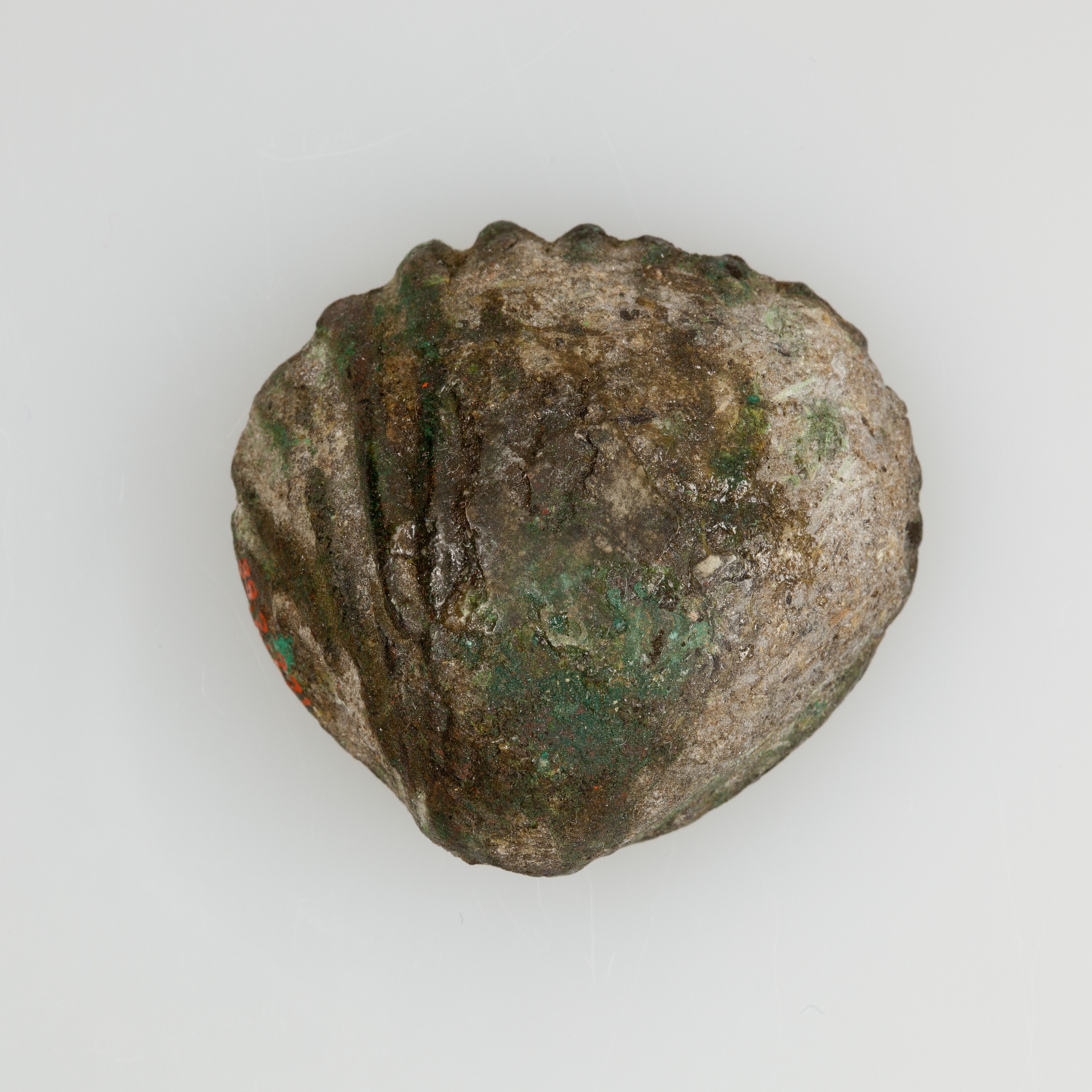 Ancient Corroded Shell-shaped Bronze Artifact