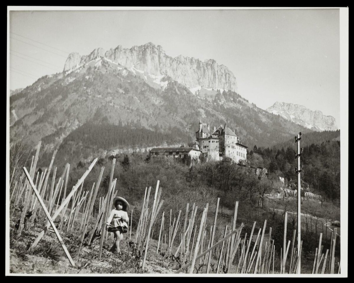 Child in Vineyard before Mountain Castle