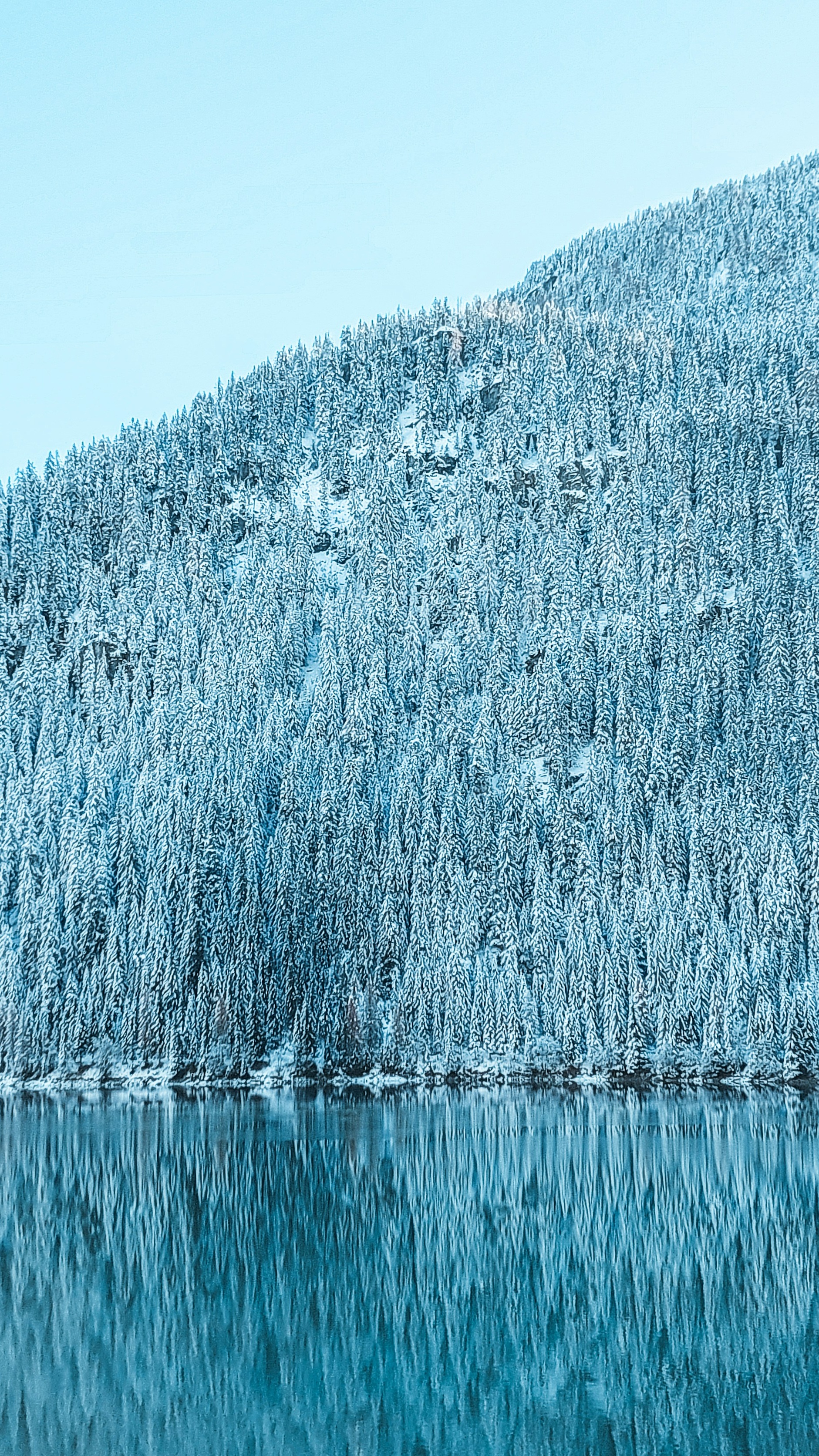 Wallpapers