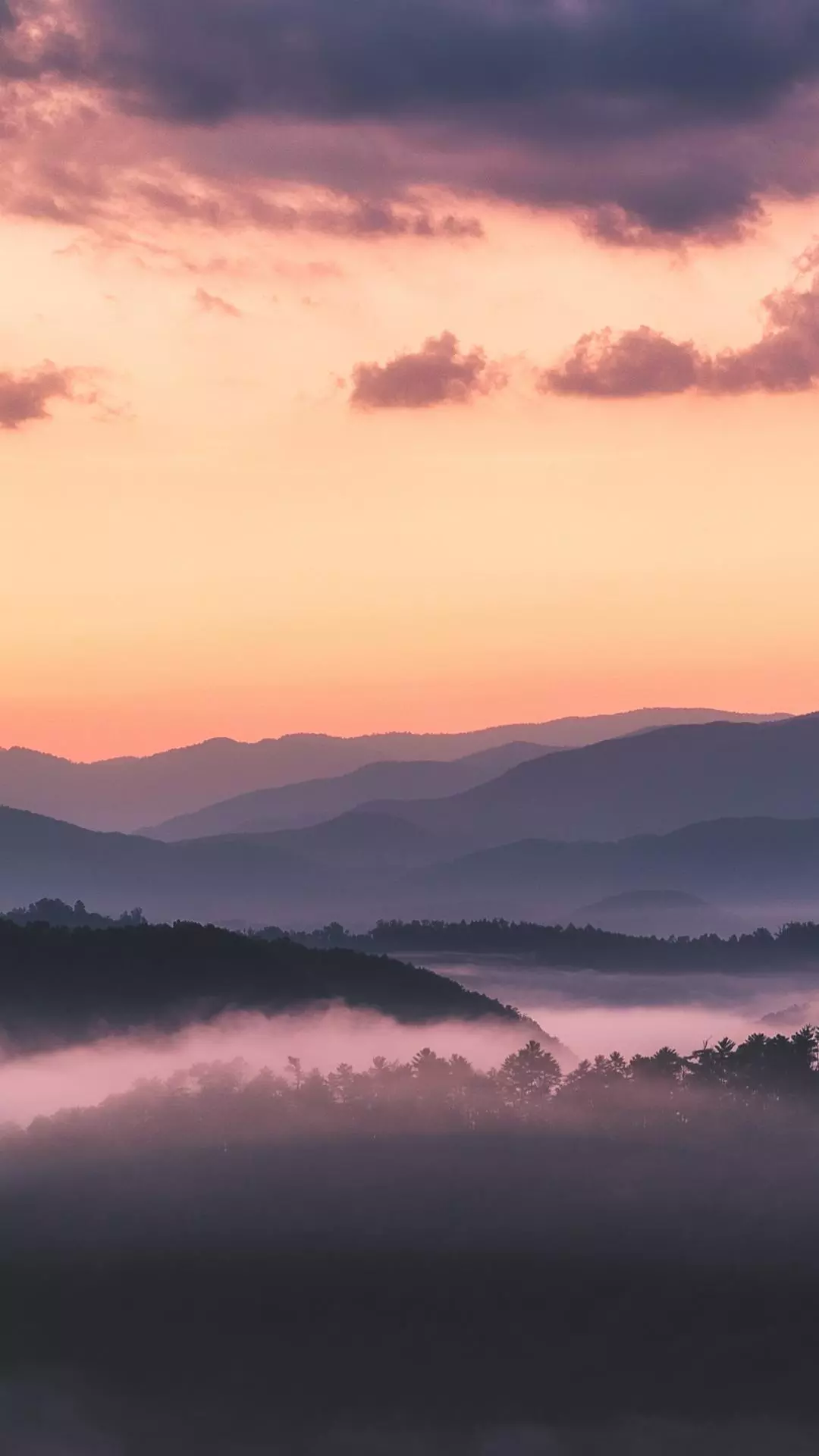 Landscapes