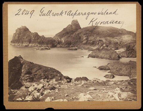 Gull Rock and Asparagus Island Kynance