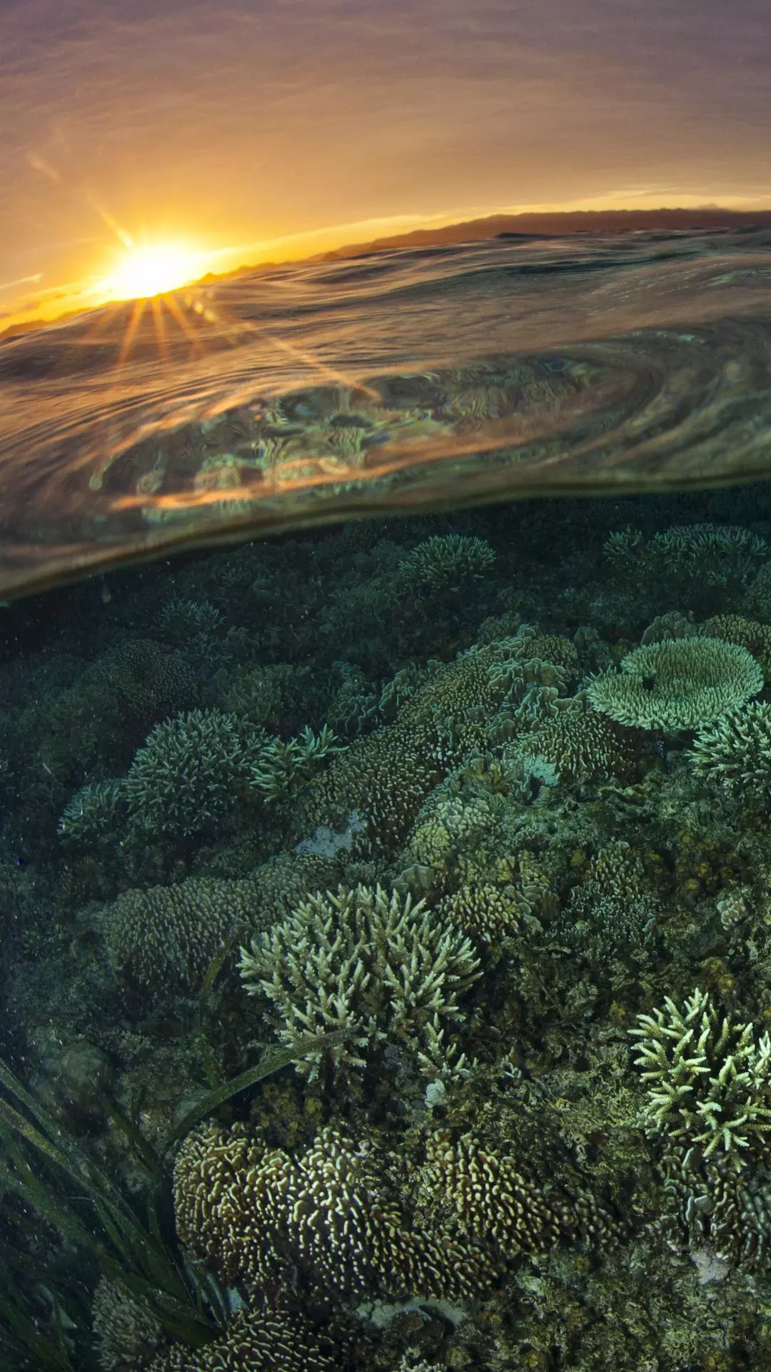 Ocean World