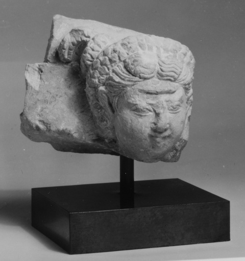 Ancient Carved Stone Head Fragment