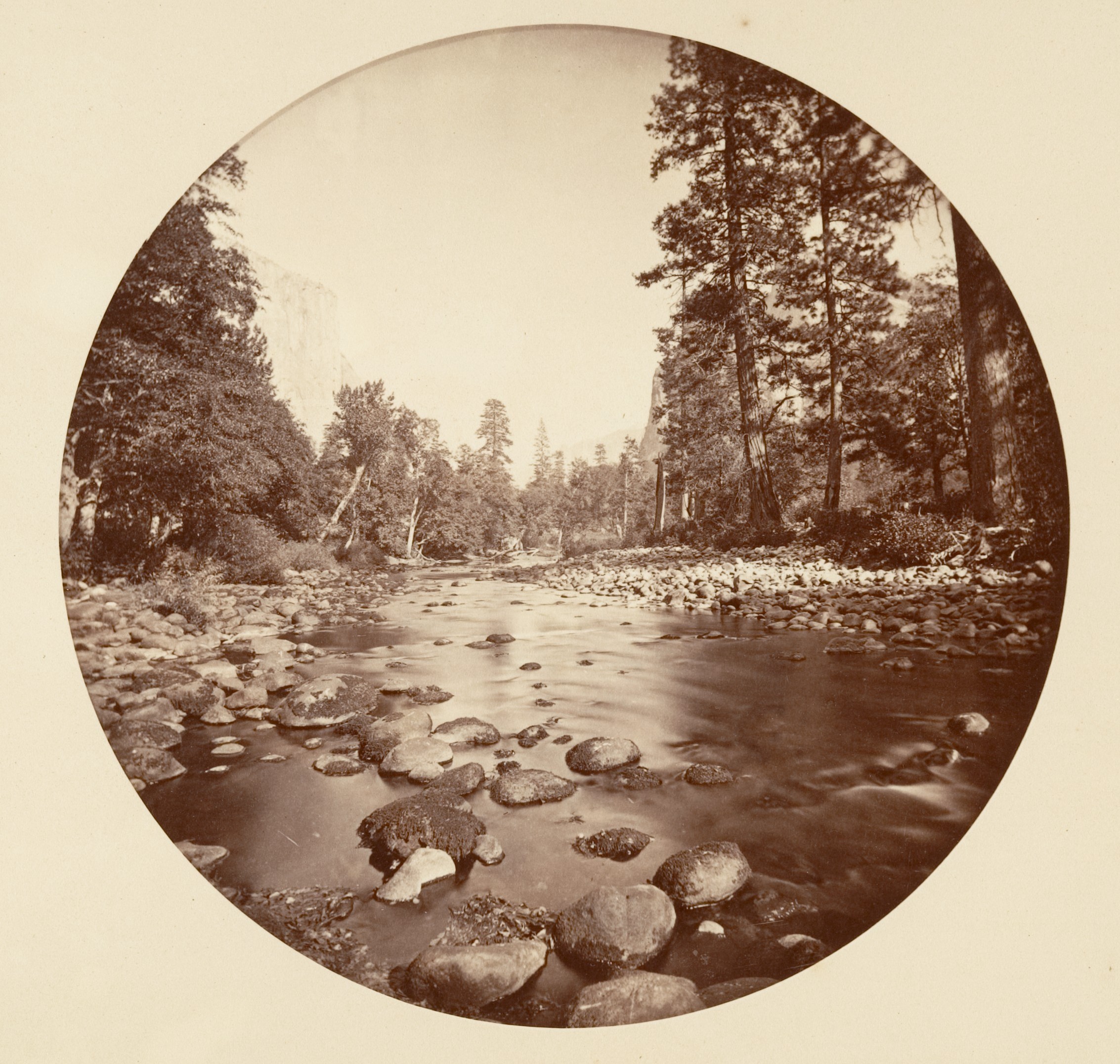 Vintage Forest River Landscape