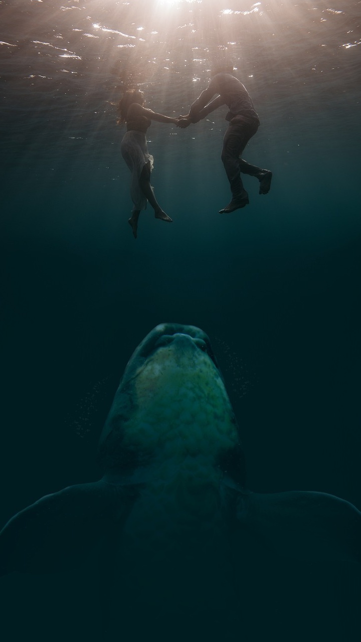 Wallpapers