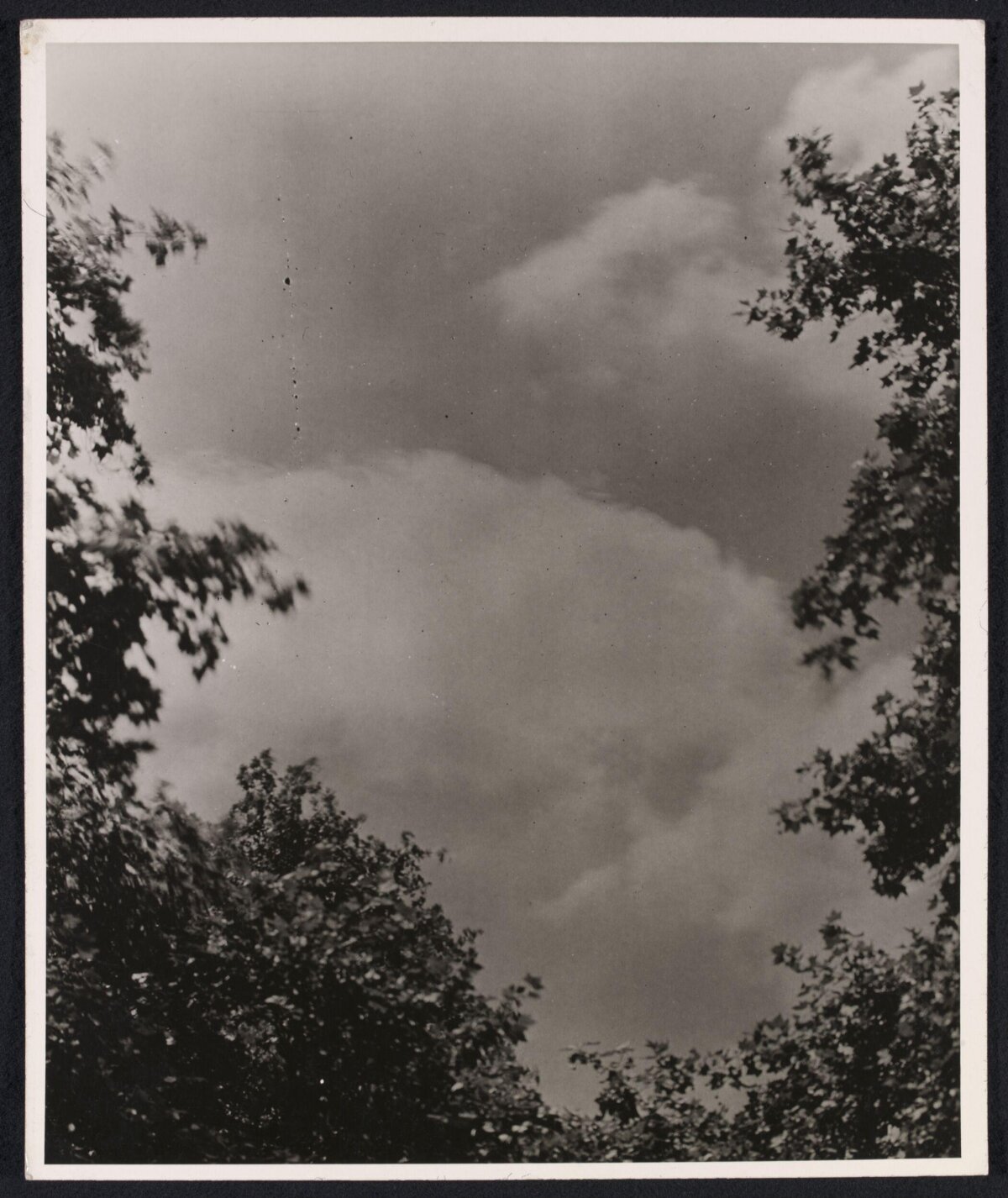 Black and White Cloudy Sky Framed by Trees