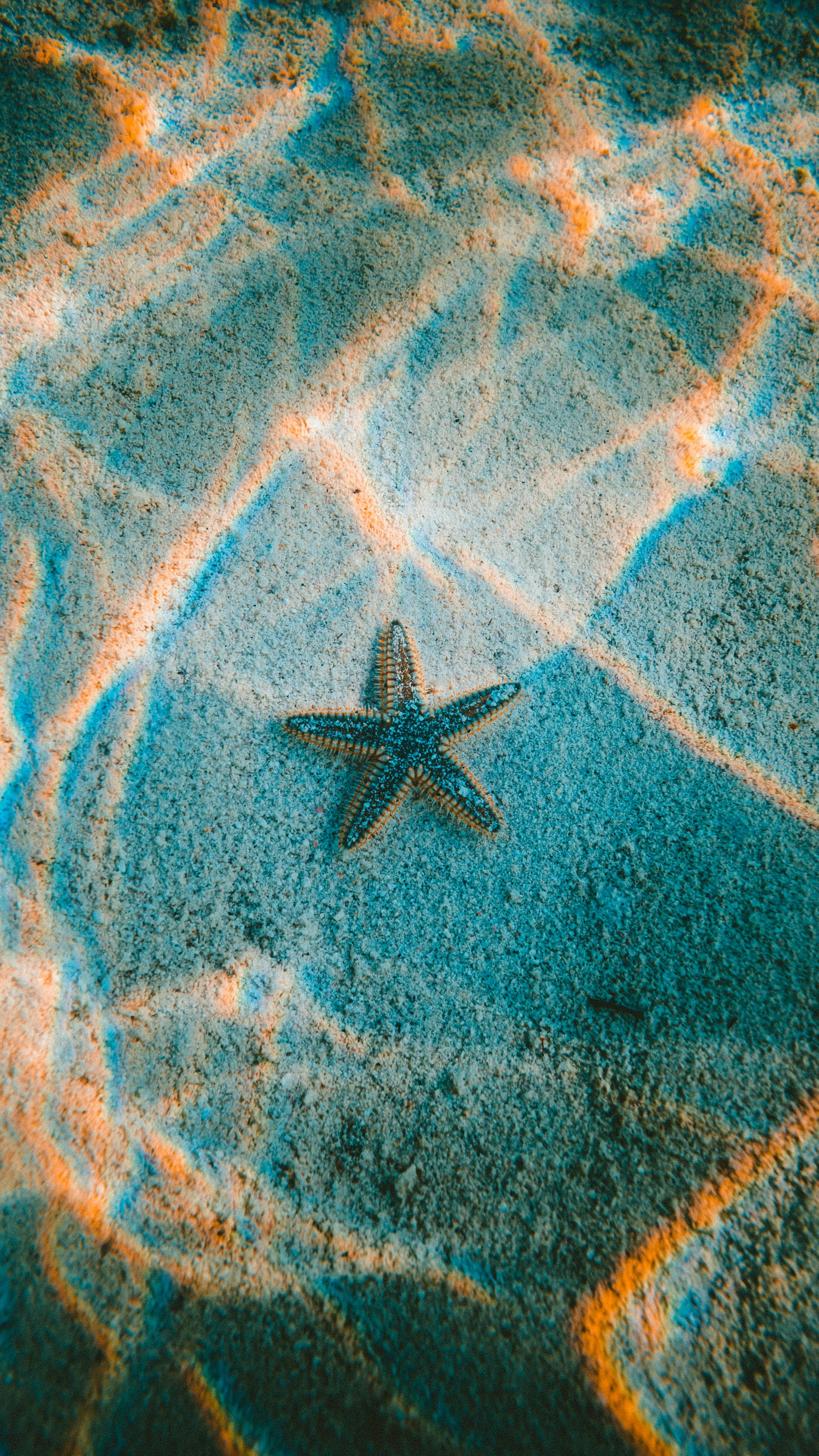 Wallpapers