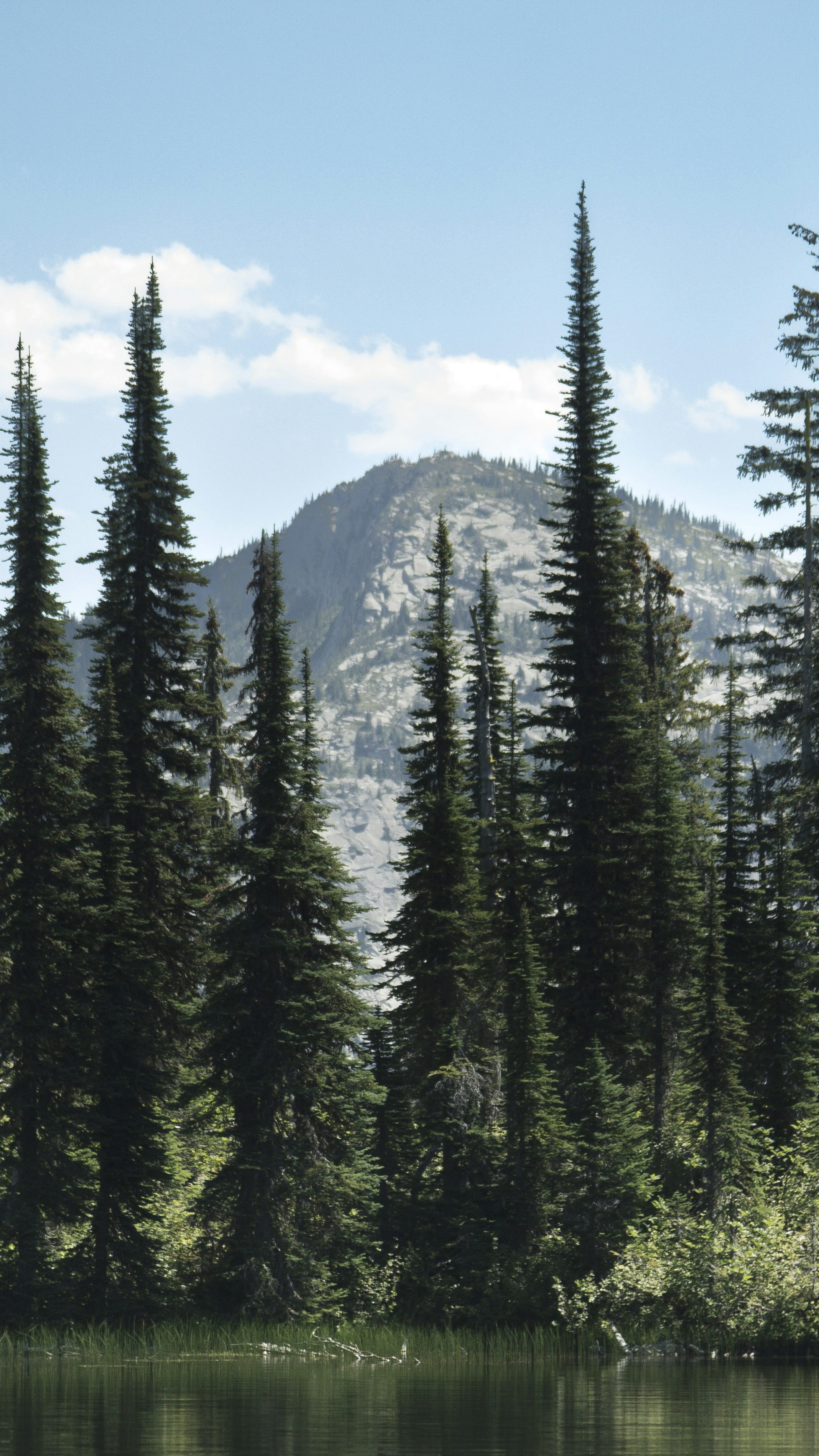 Calm Lake and Mountain Forest Landscape