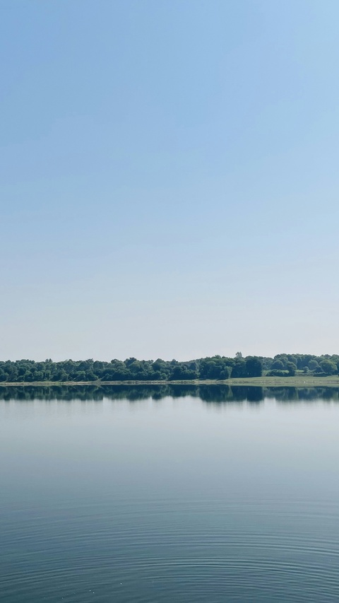 Calm Lake with Forested Shore