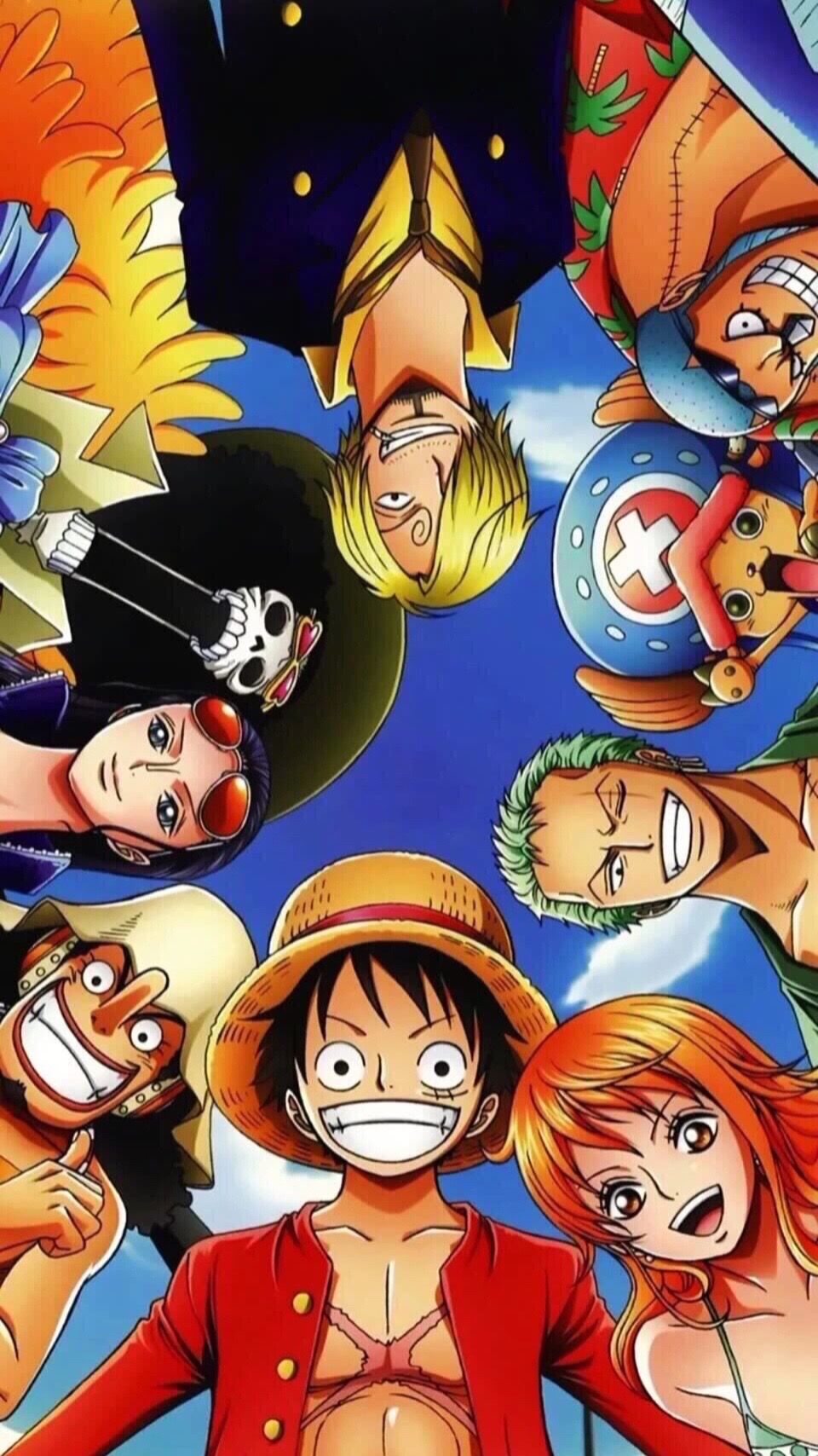 One Piece Straw Hat Crew Portrait
