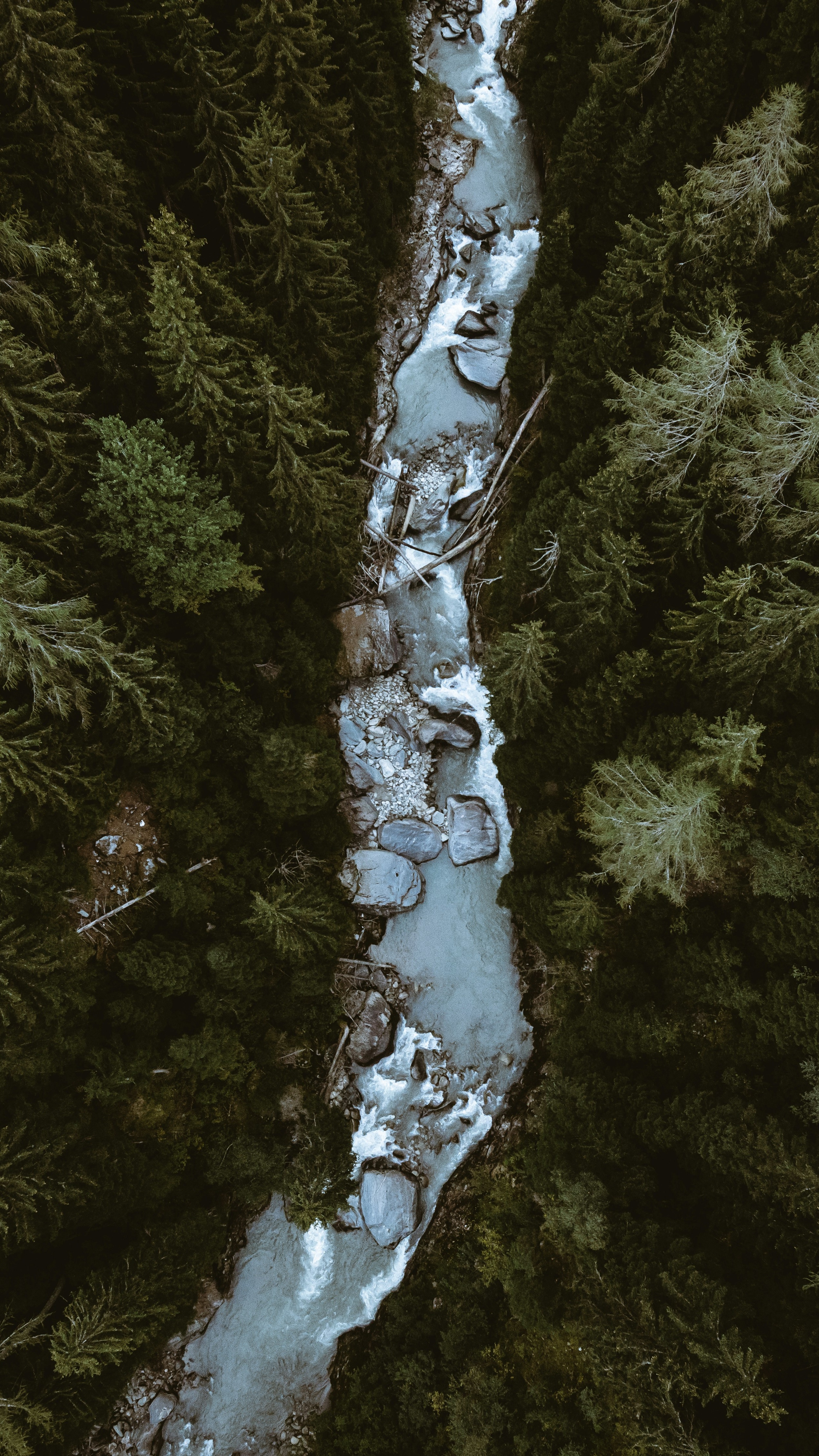 Wallpapers