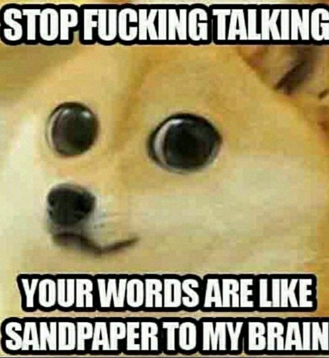 Stop Talking Doge Meme