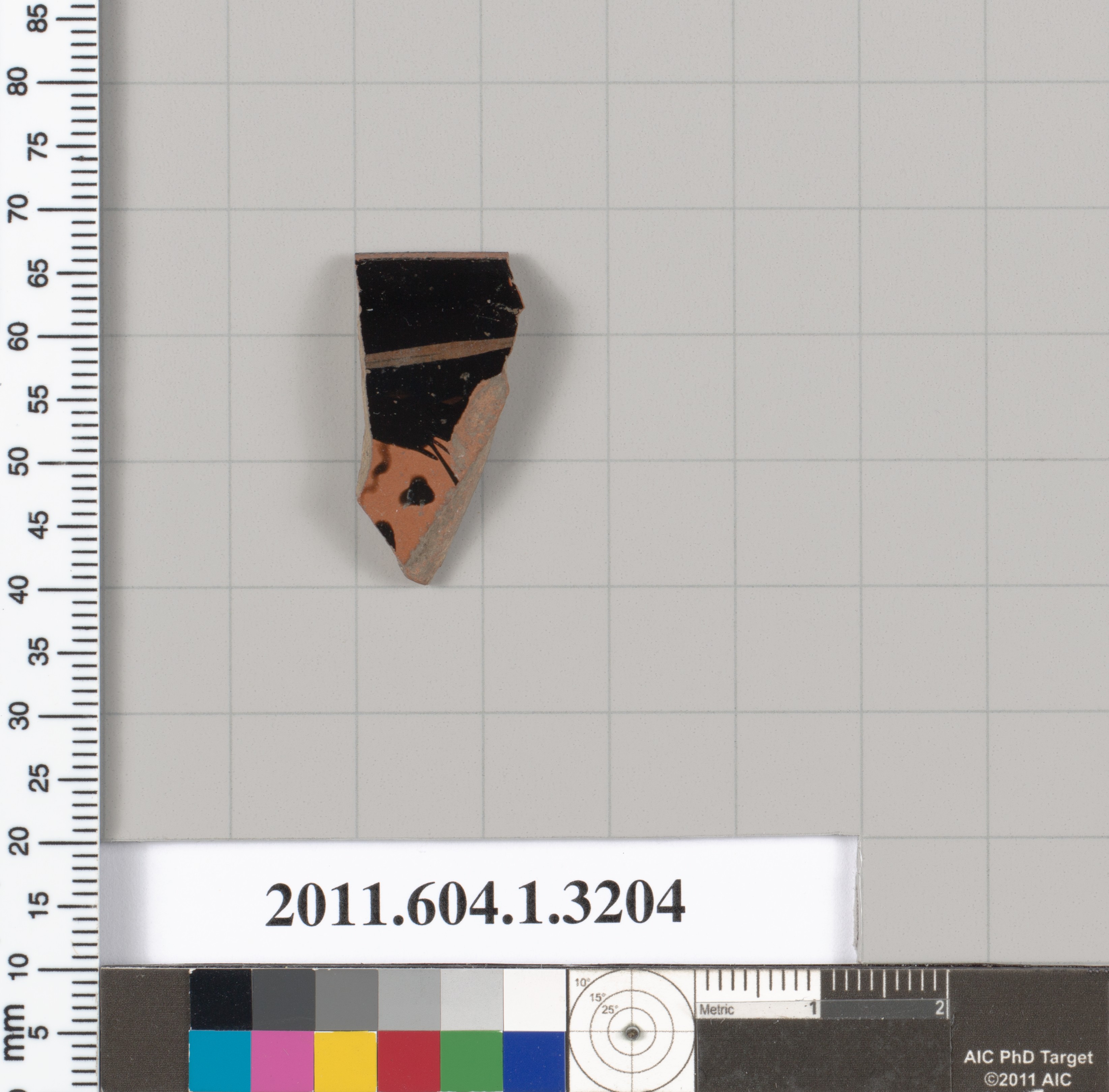 Cataloged Pottery Fragment Specimen