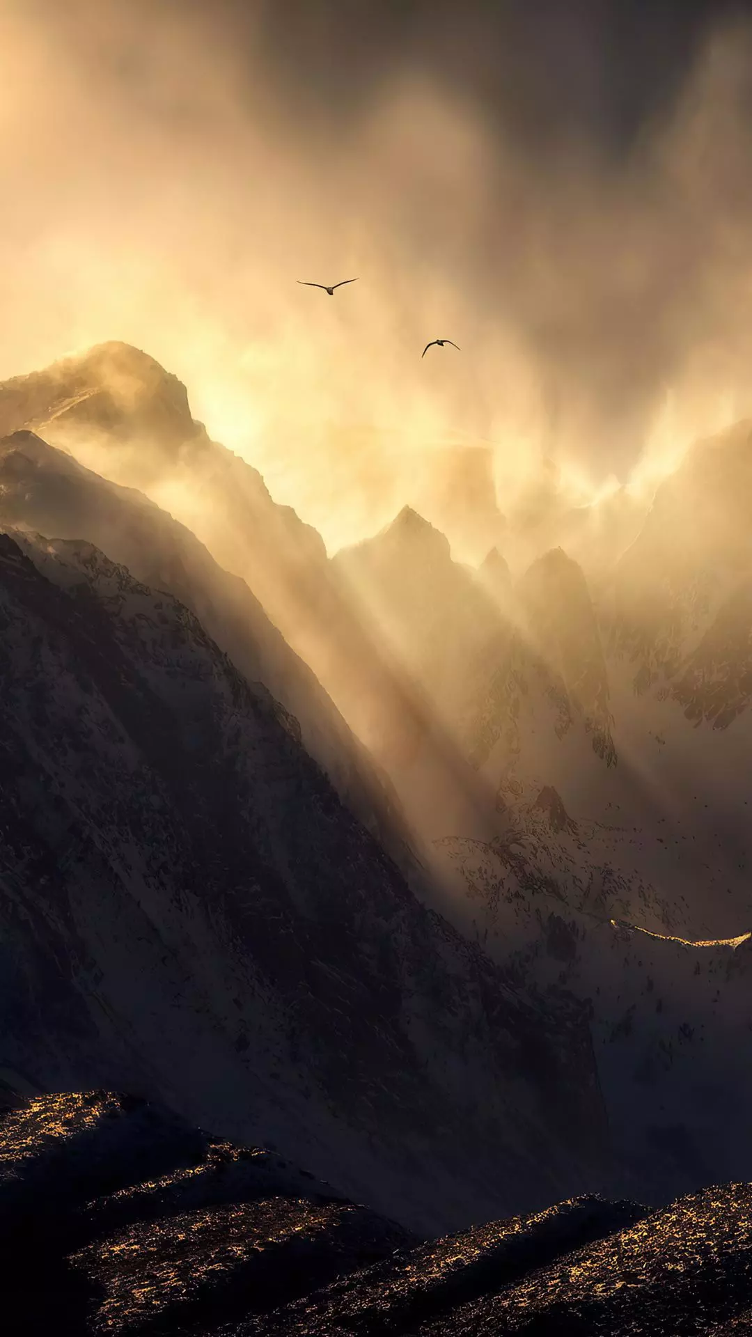 Landscapes