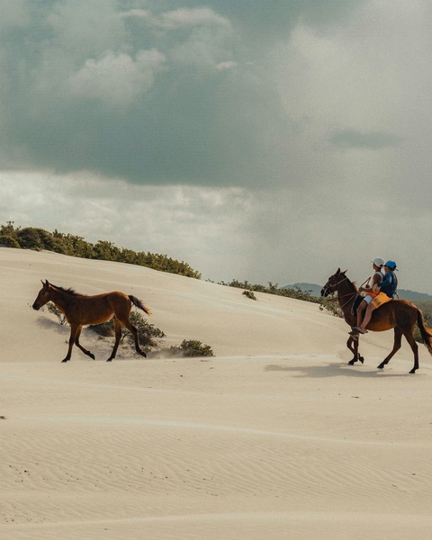 Horse Riding Across Sand Dunes