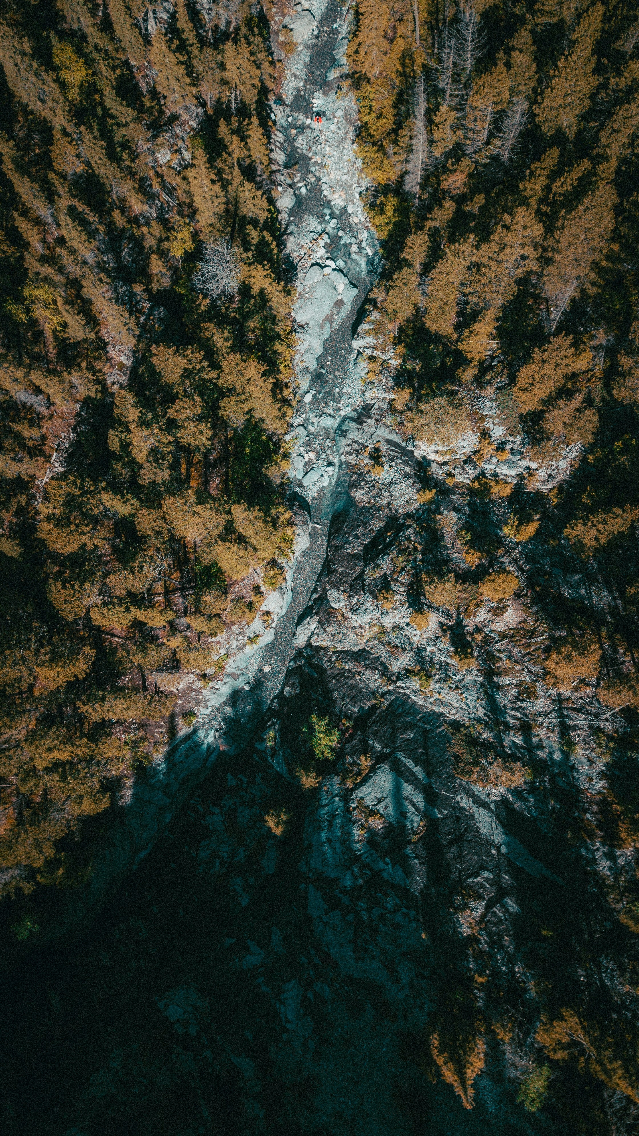 Image 1578376 — Backgrounds