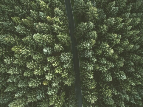 Aerial View of Road Through Forest