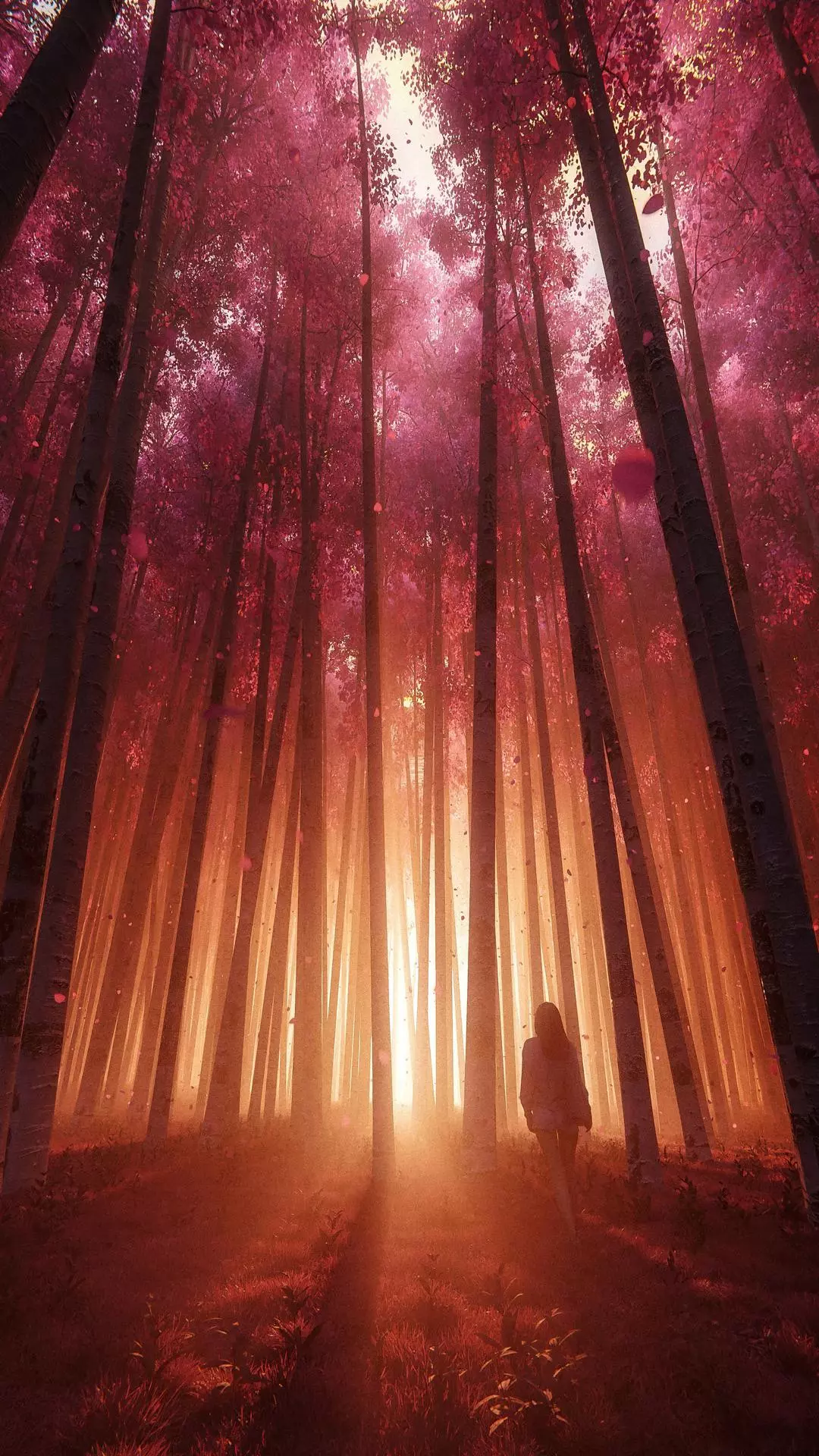 Wallpapers