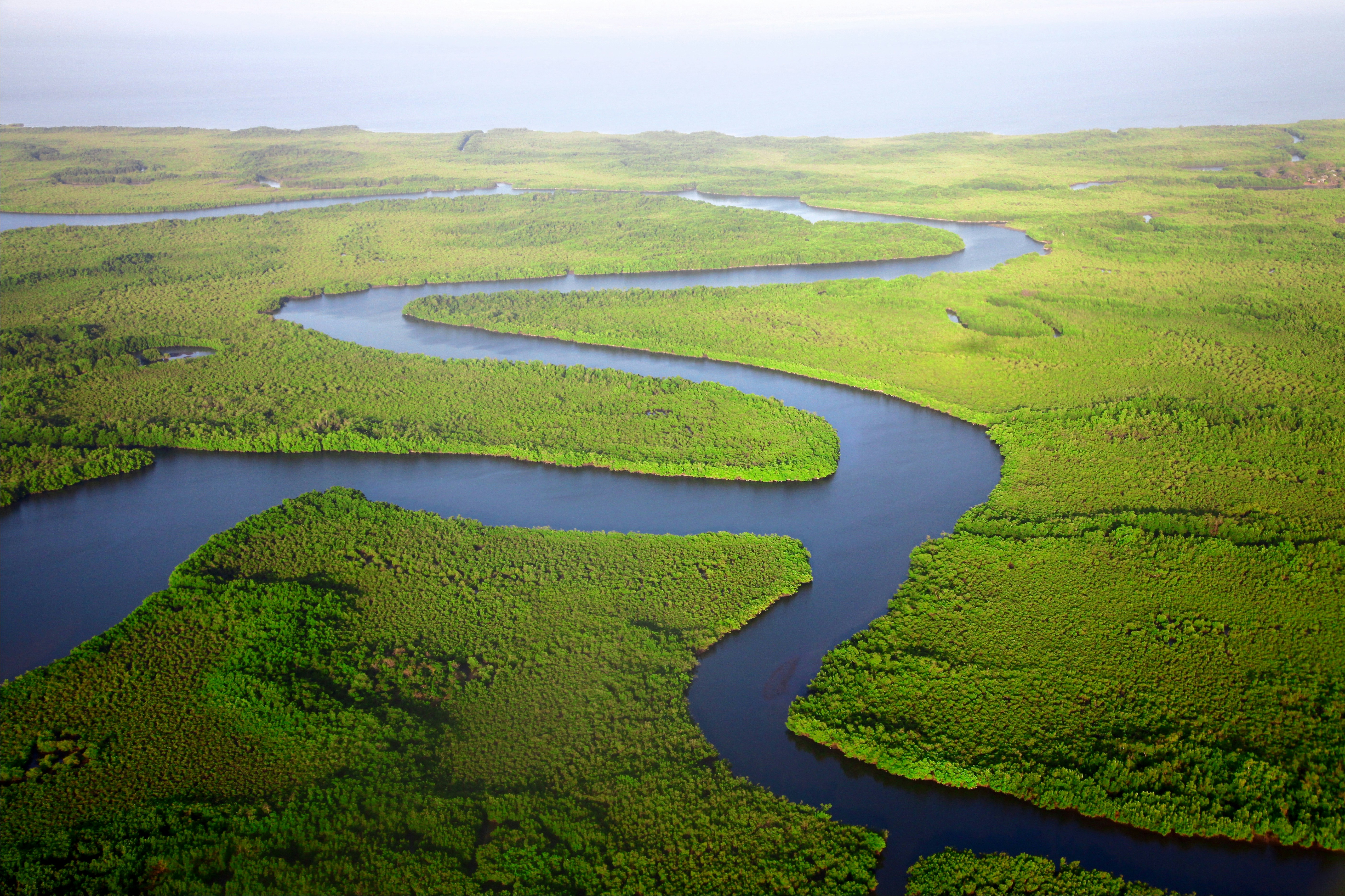 Aerial View of Winding River Through Forest