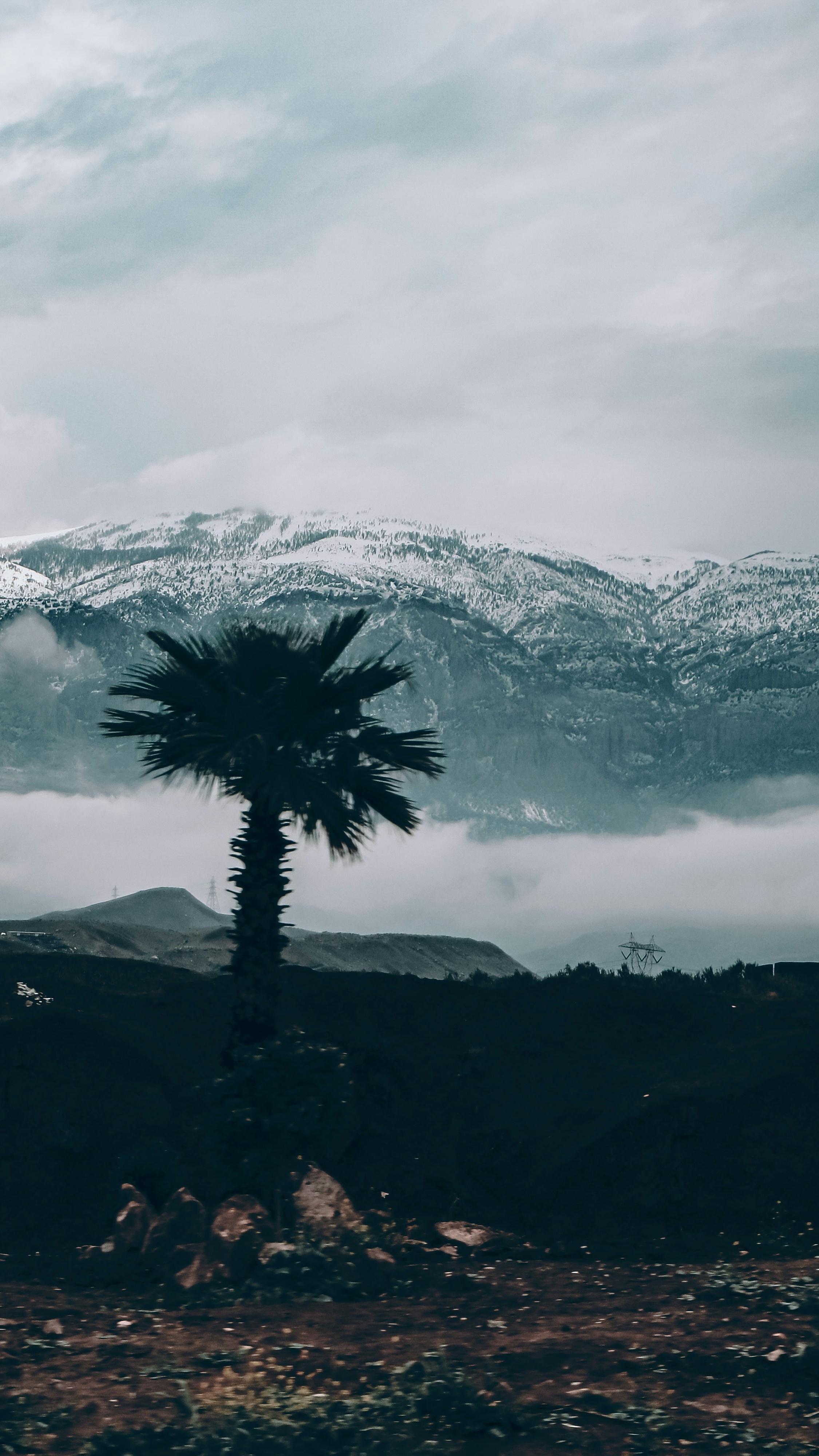 Wallpapers