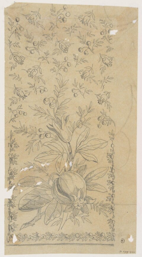 Pomegranate Floral Pattern Pencil Sketch