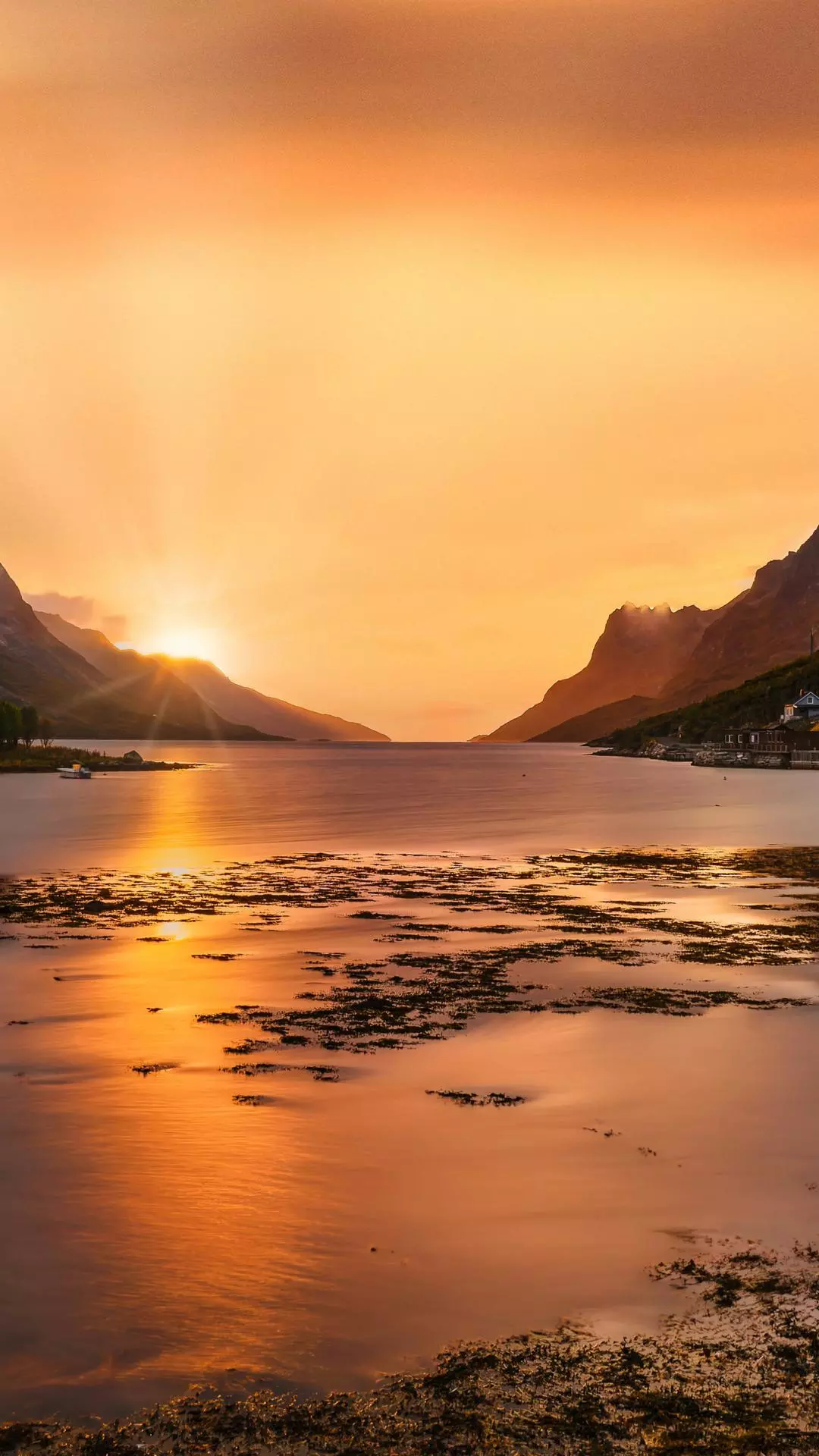 Landscapes