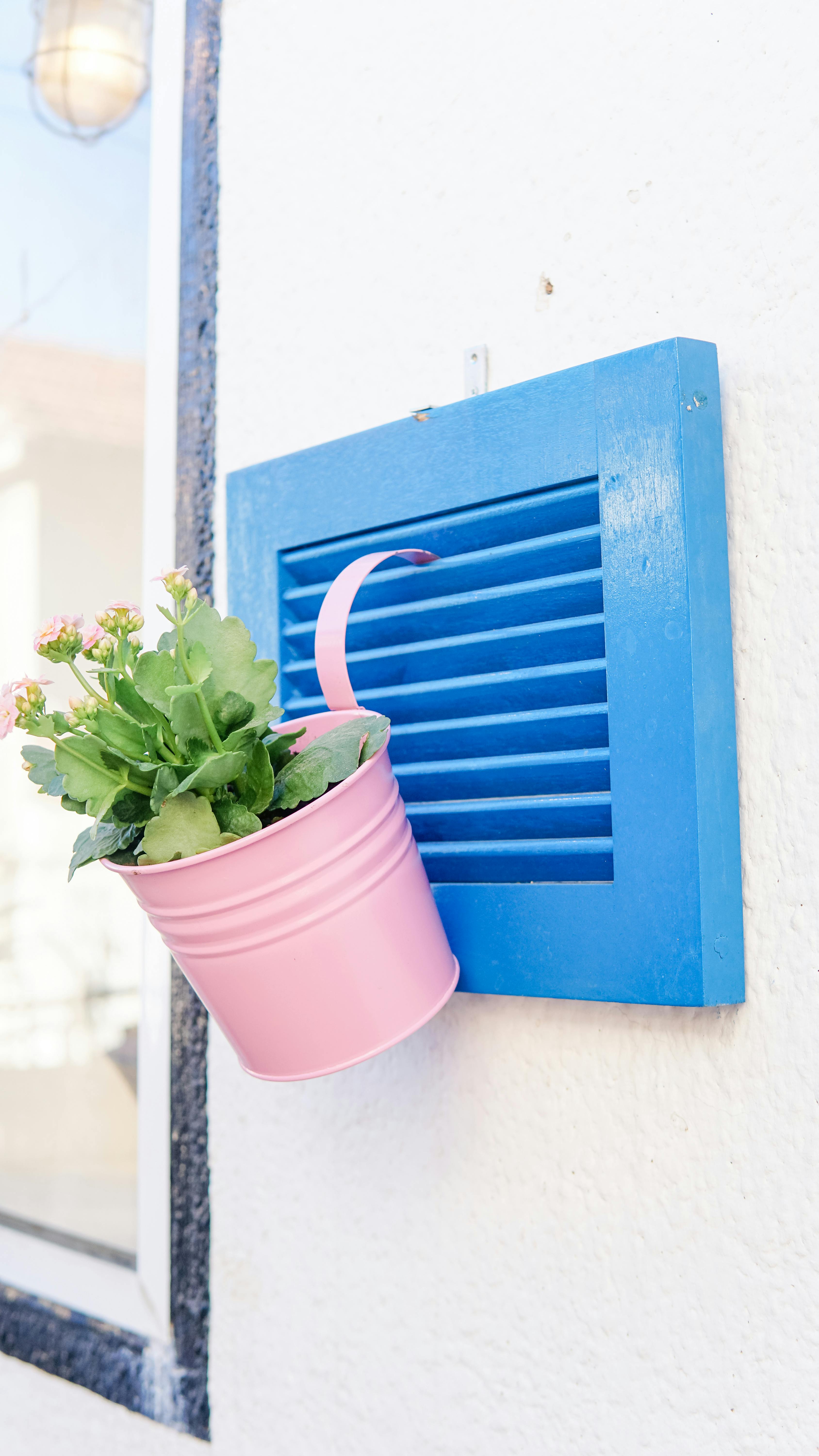Pink Hanging Planter on Blue Shutter