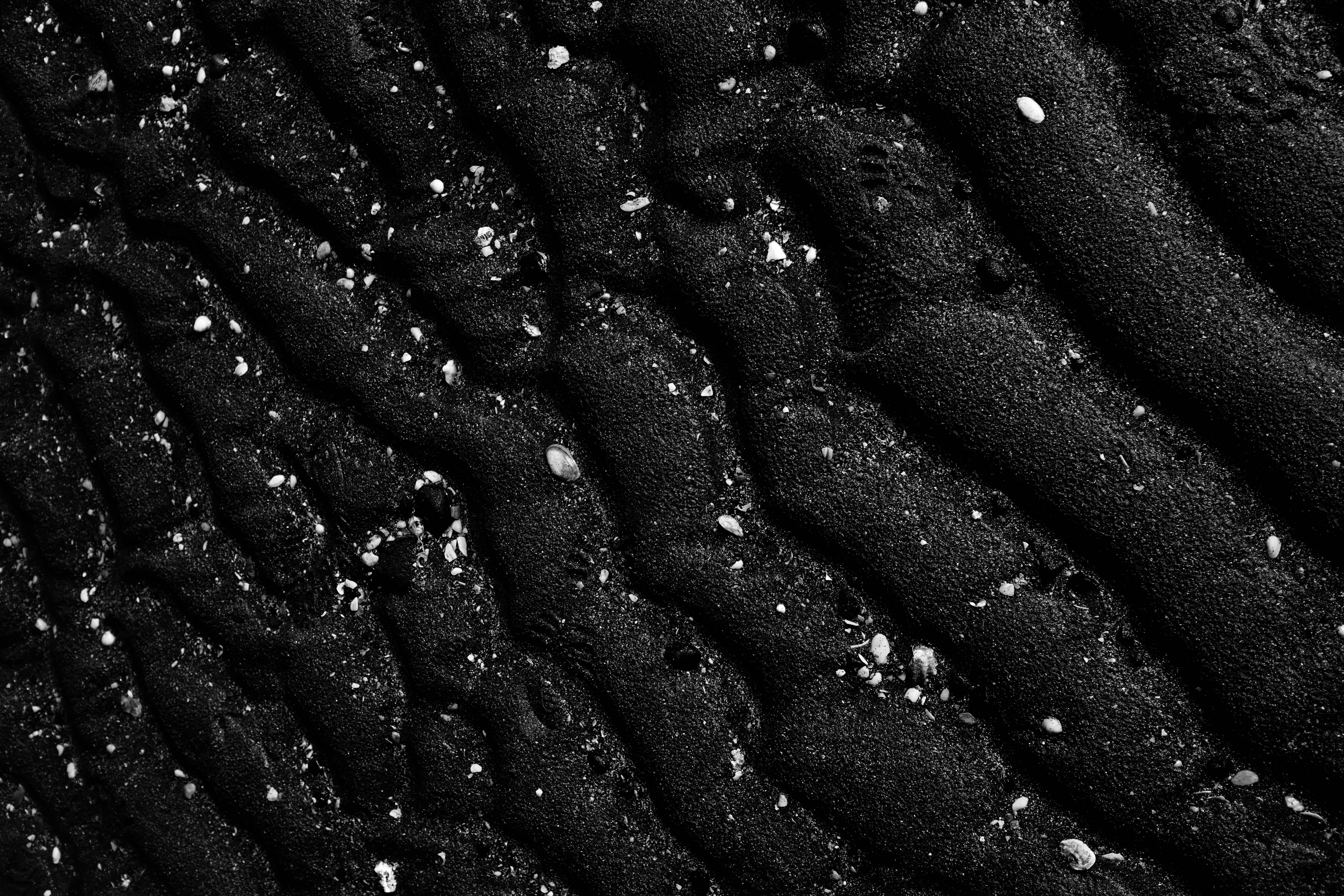 Rippled Black Sand with Shell Fragments
