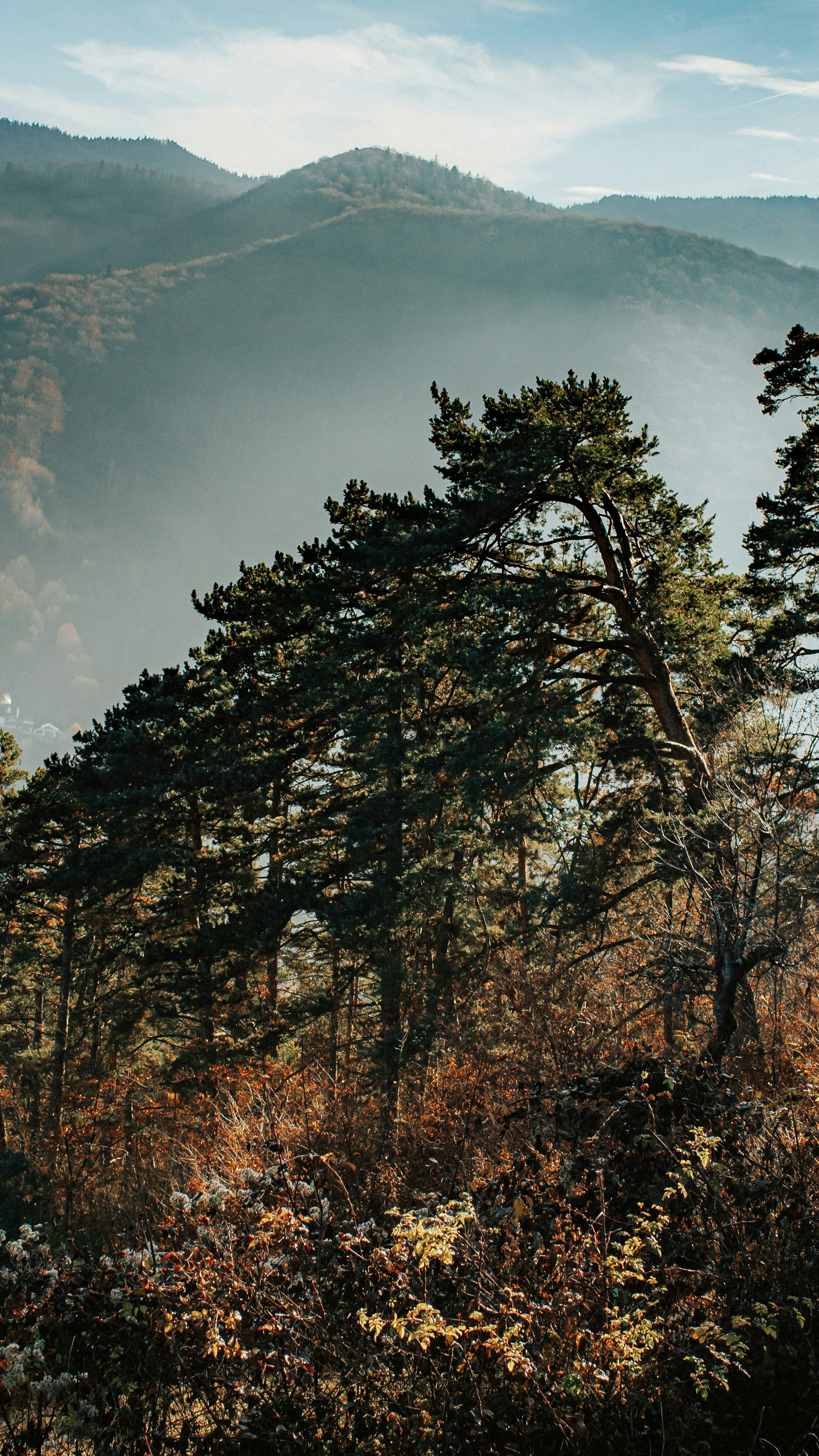 Landscapes