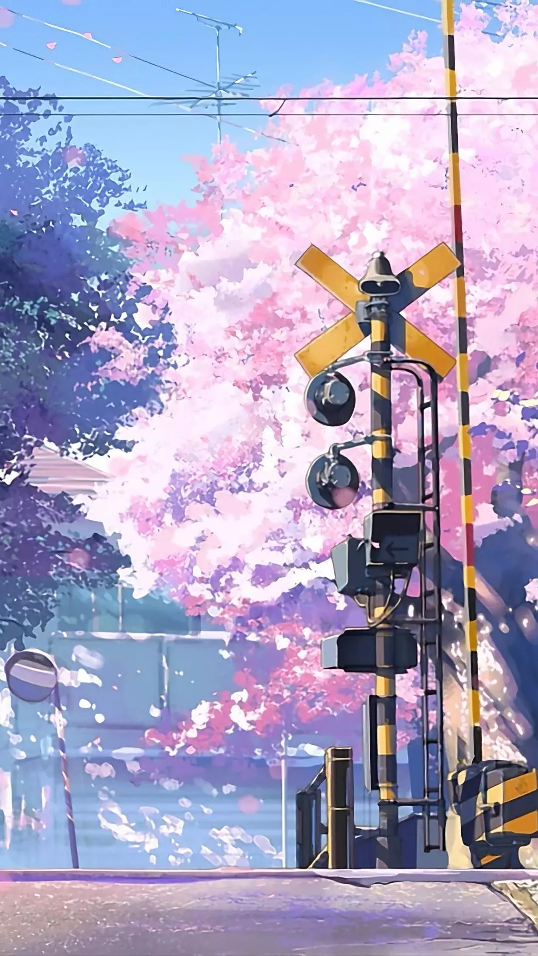 Wallpapers
