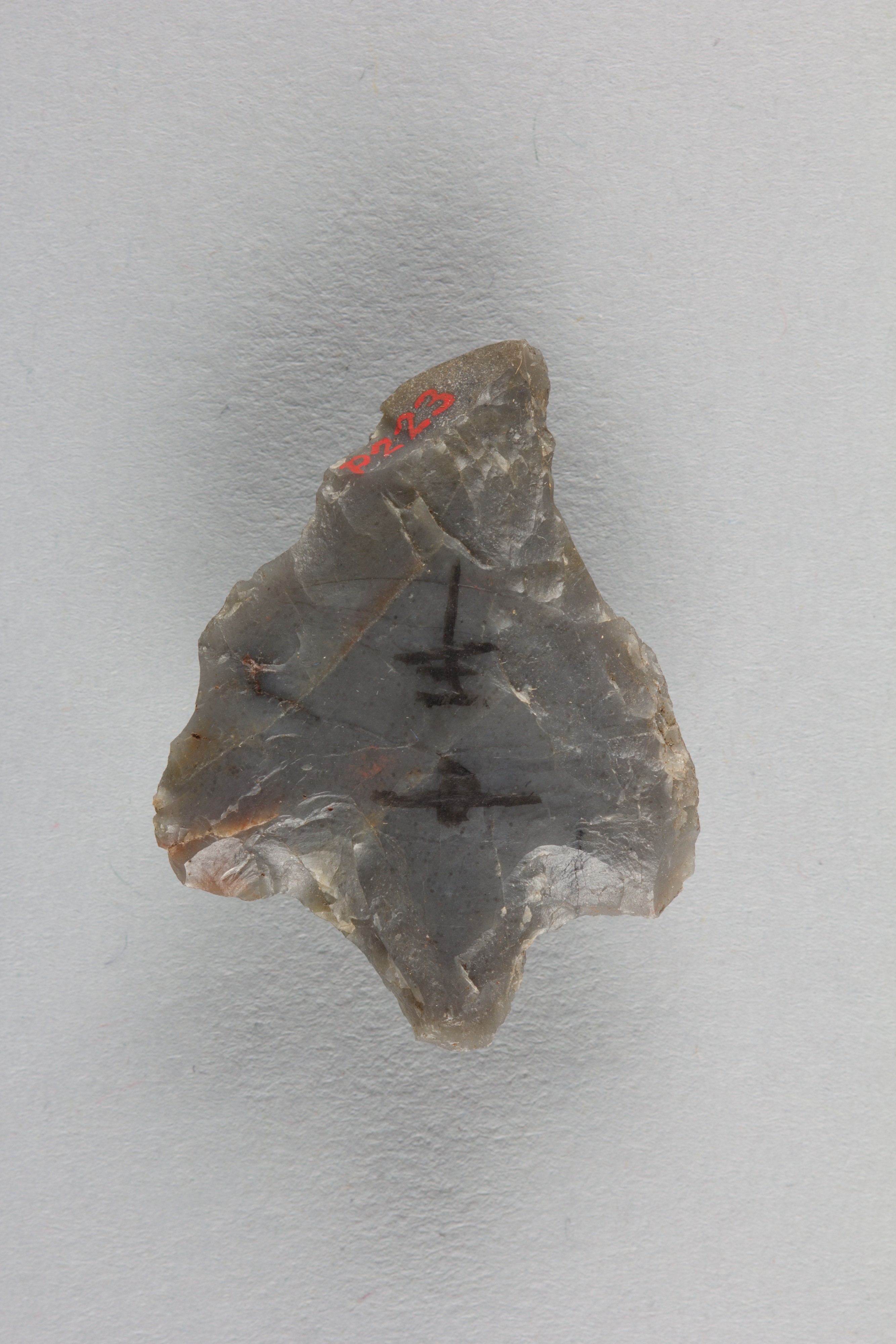 Marked Ancient Stone Artifact