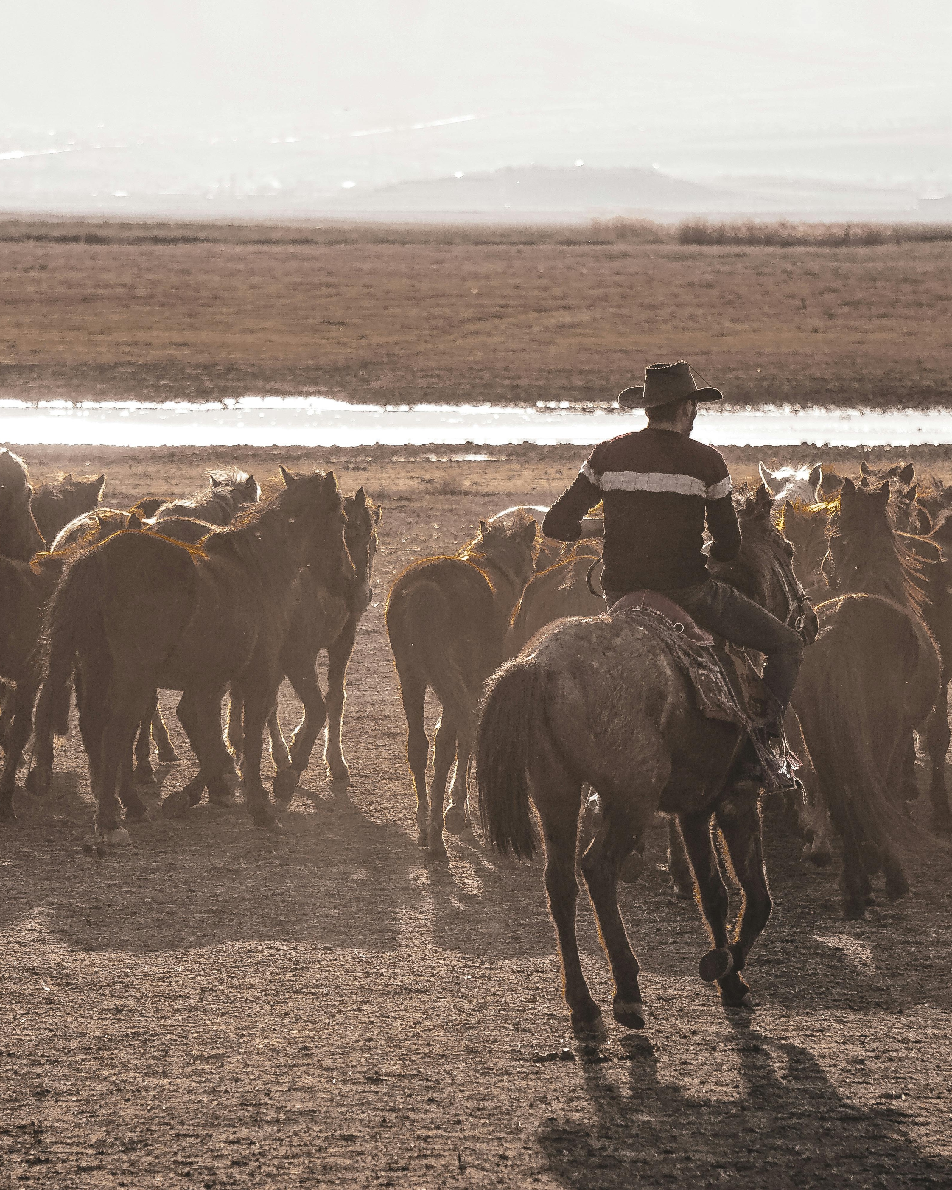 Cowboy Herding Horses on Open Plain