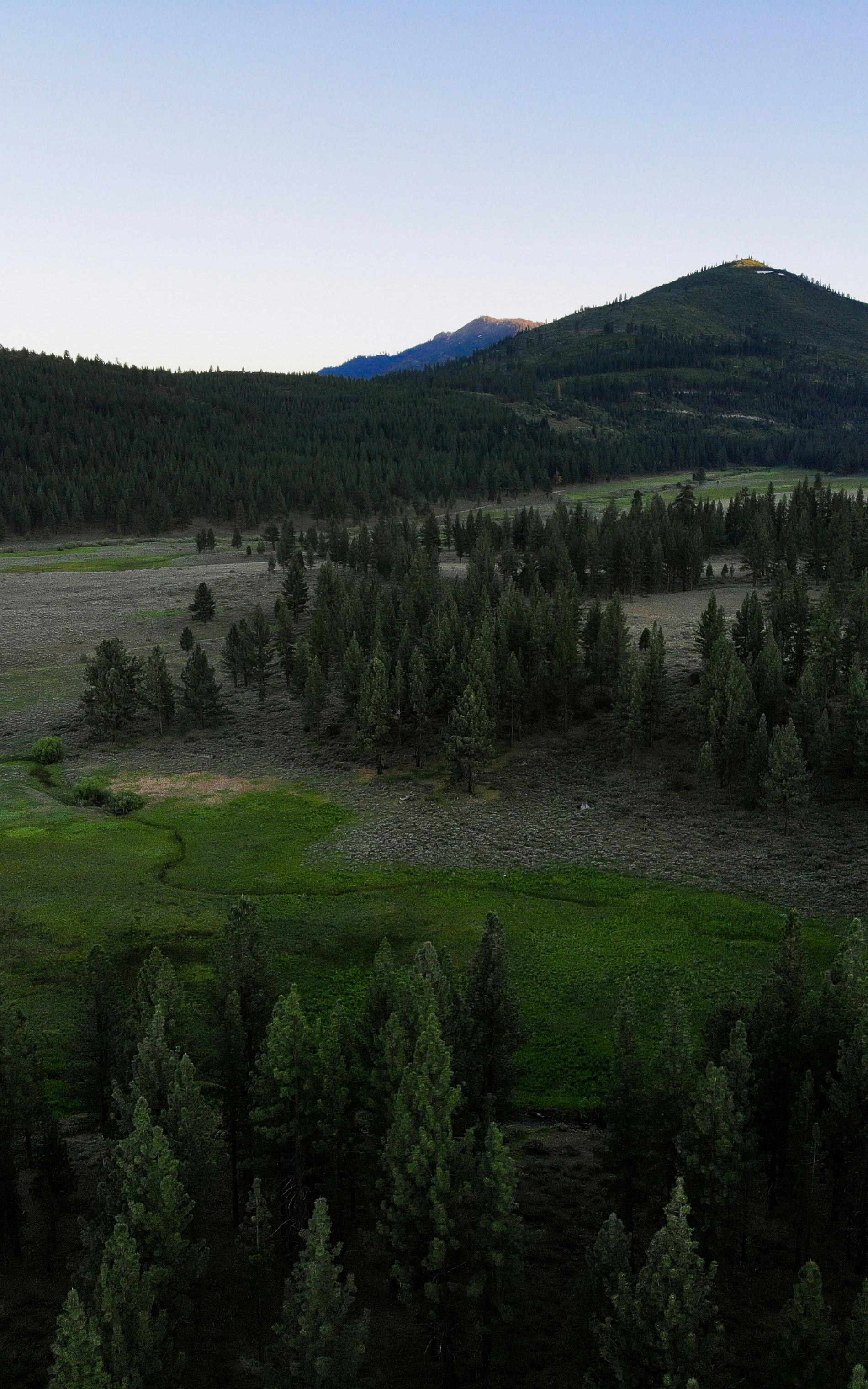 Mountain Forest Valley Landscape