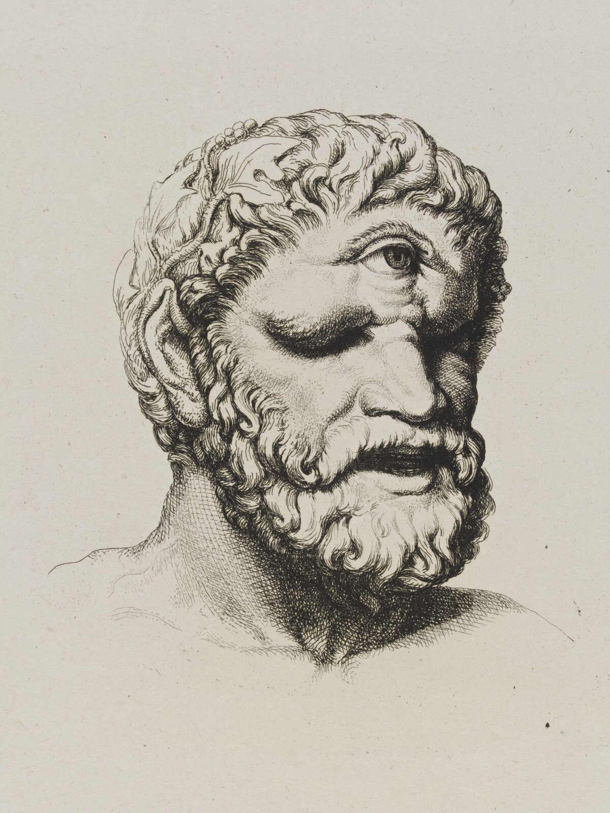 Sketch of Classical Bearded Male Head