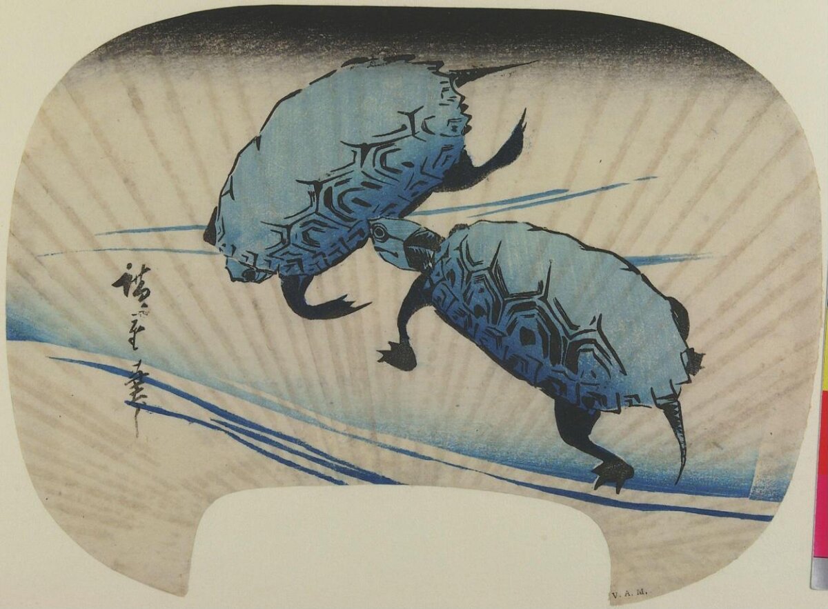 Ukiyo-e Fan Print of Two Turtles