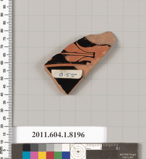 Ancient Terracotta Pottery Fragment