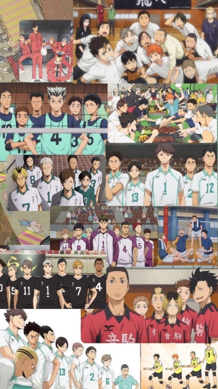Haikyuu Volleyball Team Group Collage