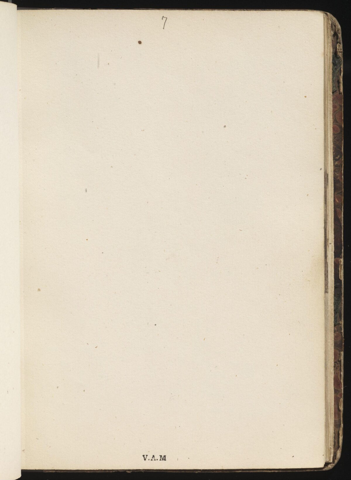 Blank Aged Page of an Old Book