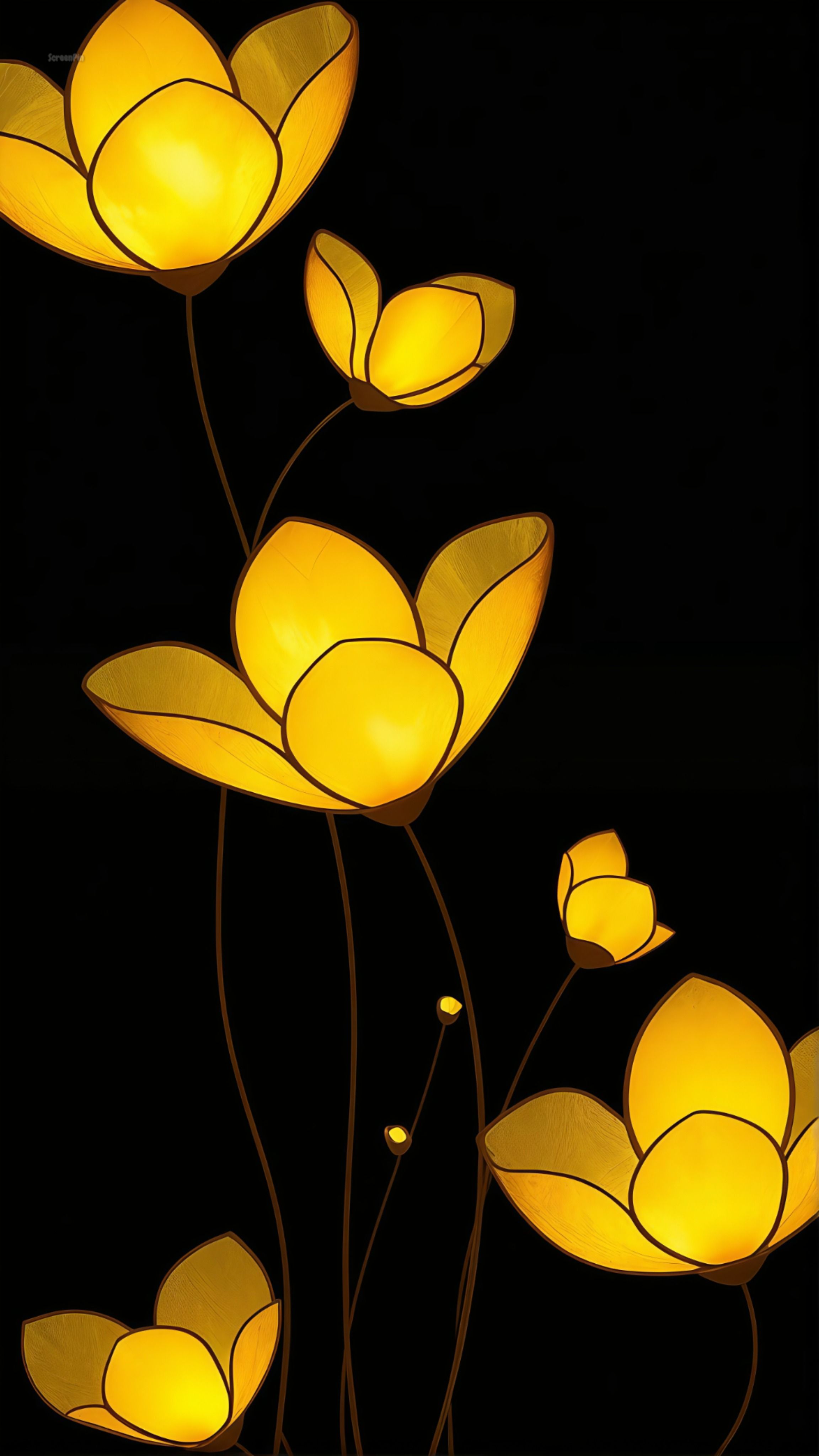 Wallpapers
