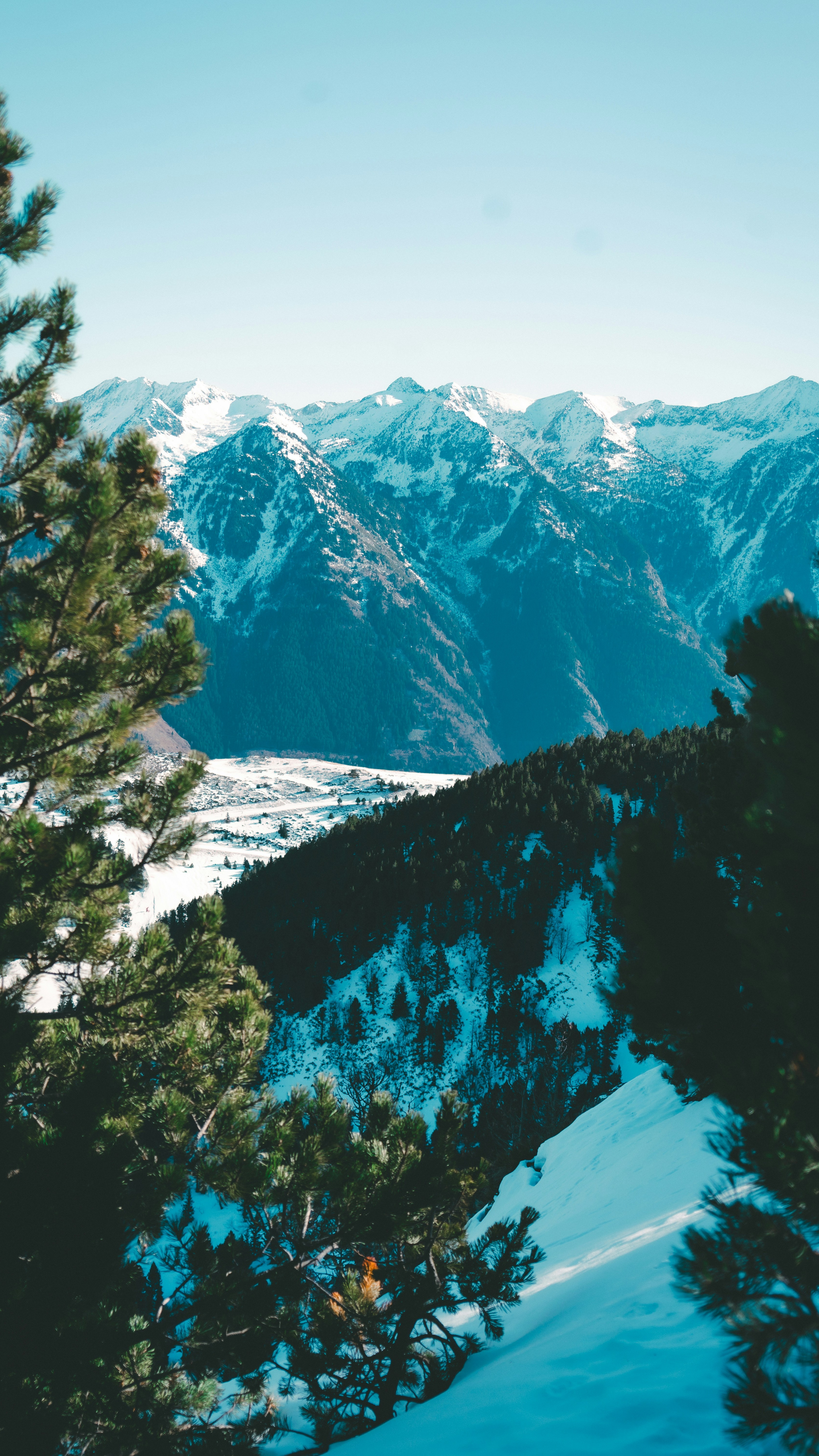 Wallpapers