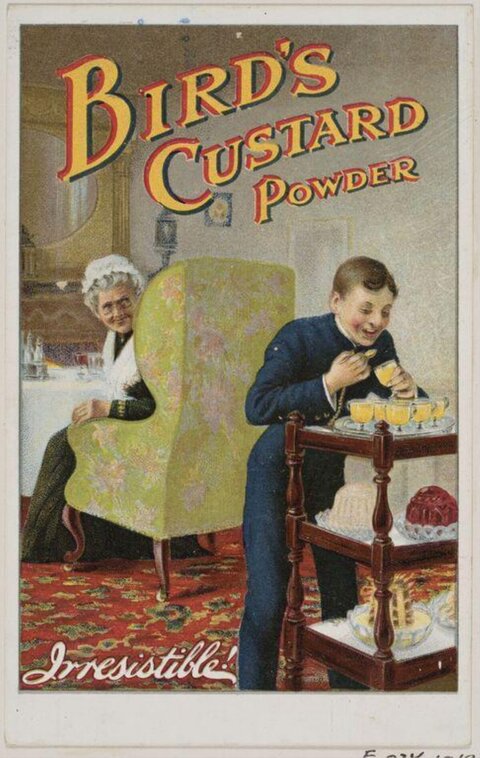 Vintage Bird's Custard Powder Advertisement