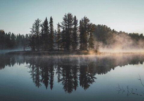 Misty Morning Lake and Forest