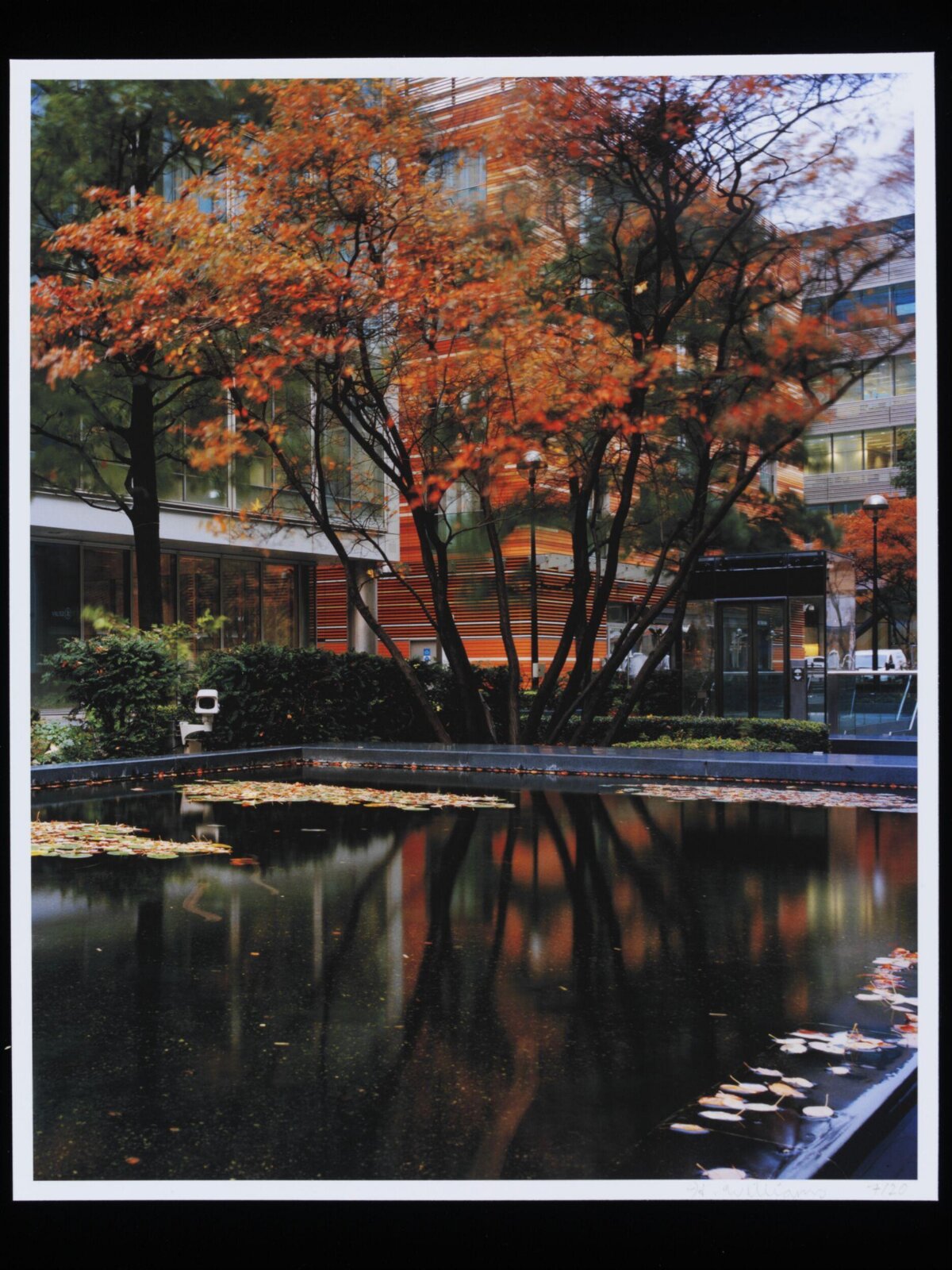 Autumn Pond Reflection by Office Building