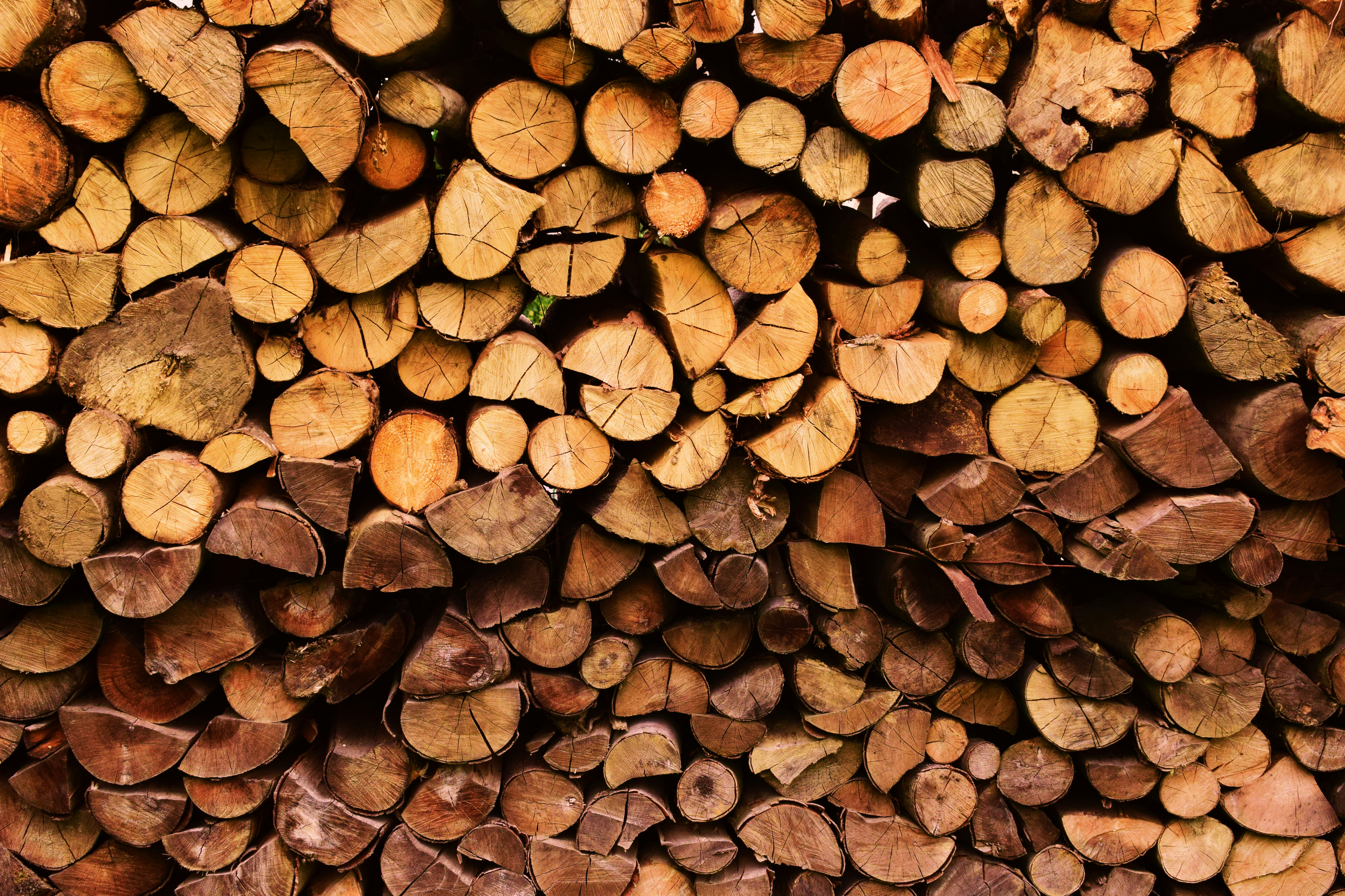 Stacked Cut Firewood Logs