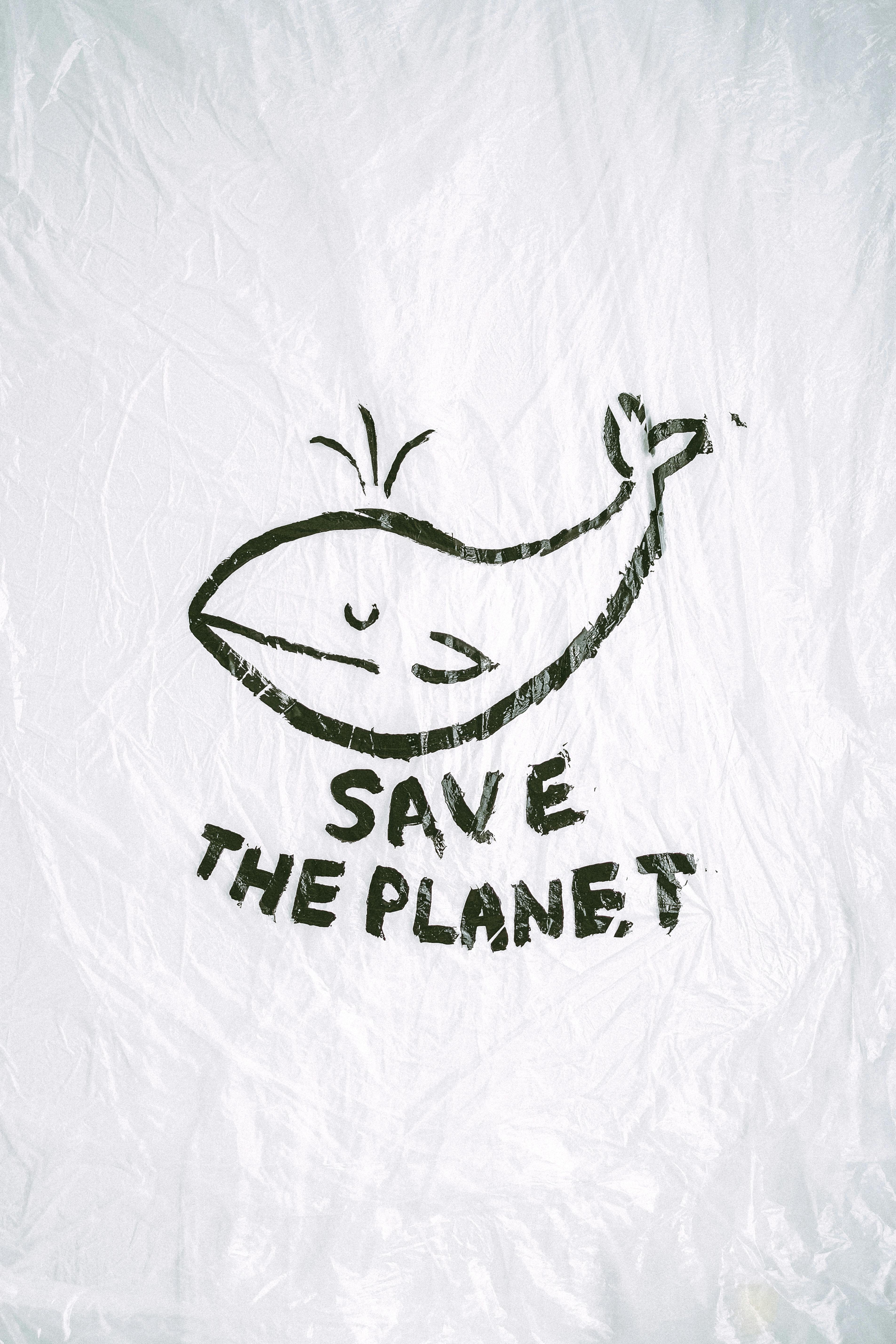 Save The Planet Whale Drawing