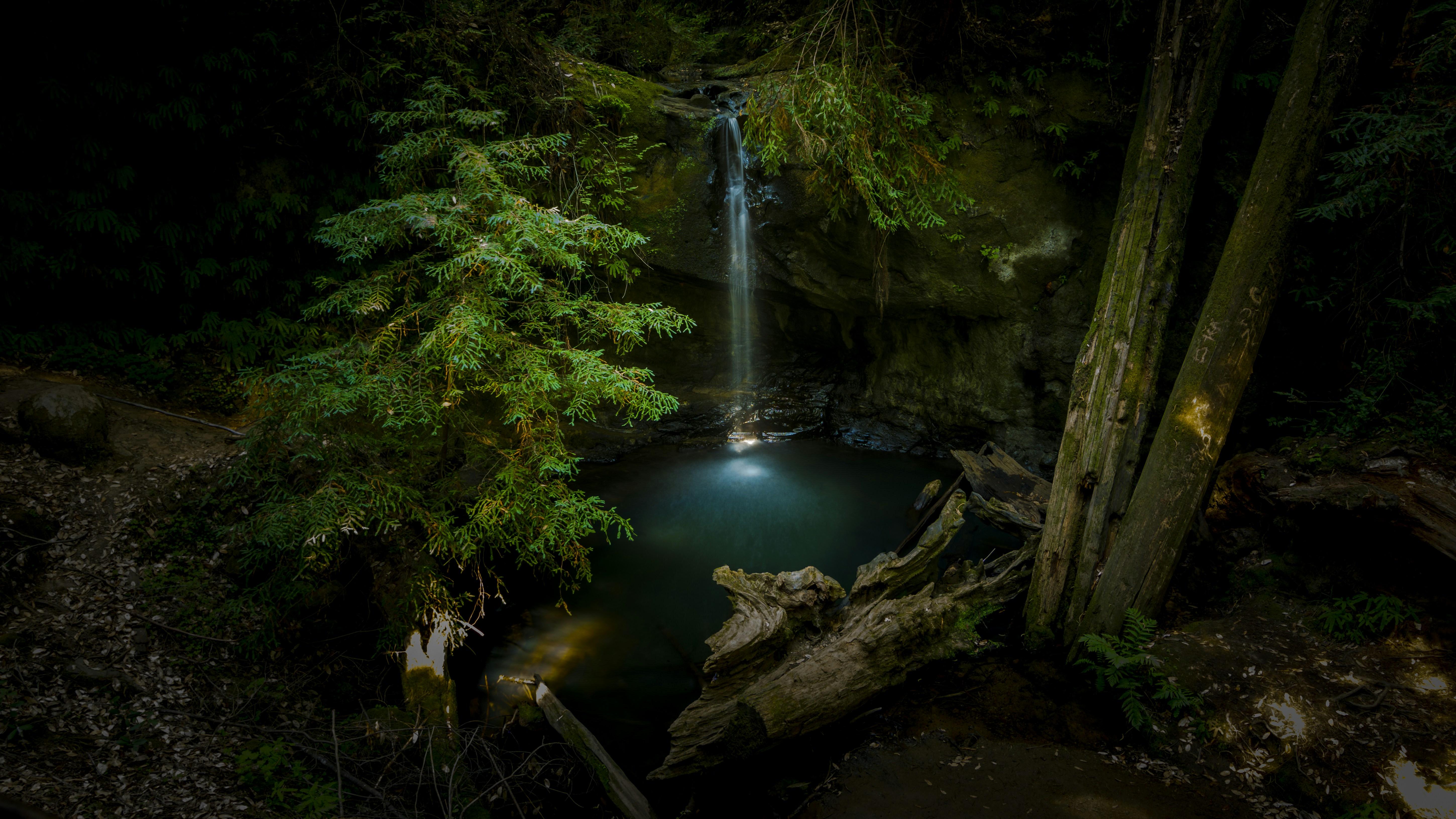Forest Hidden Waterfall