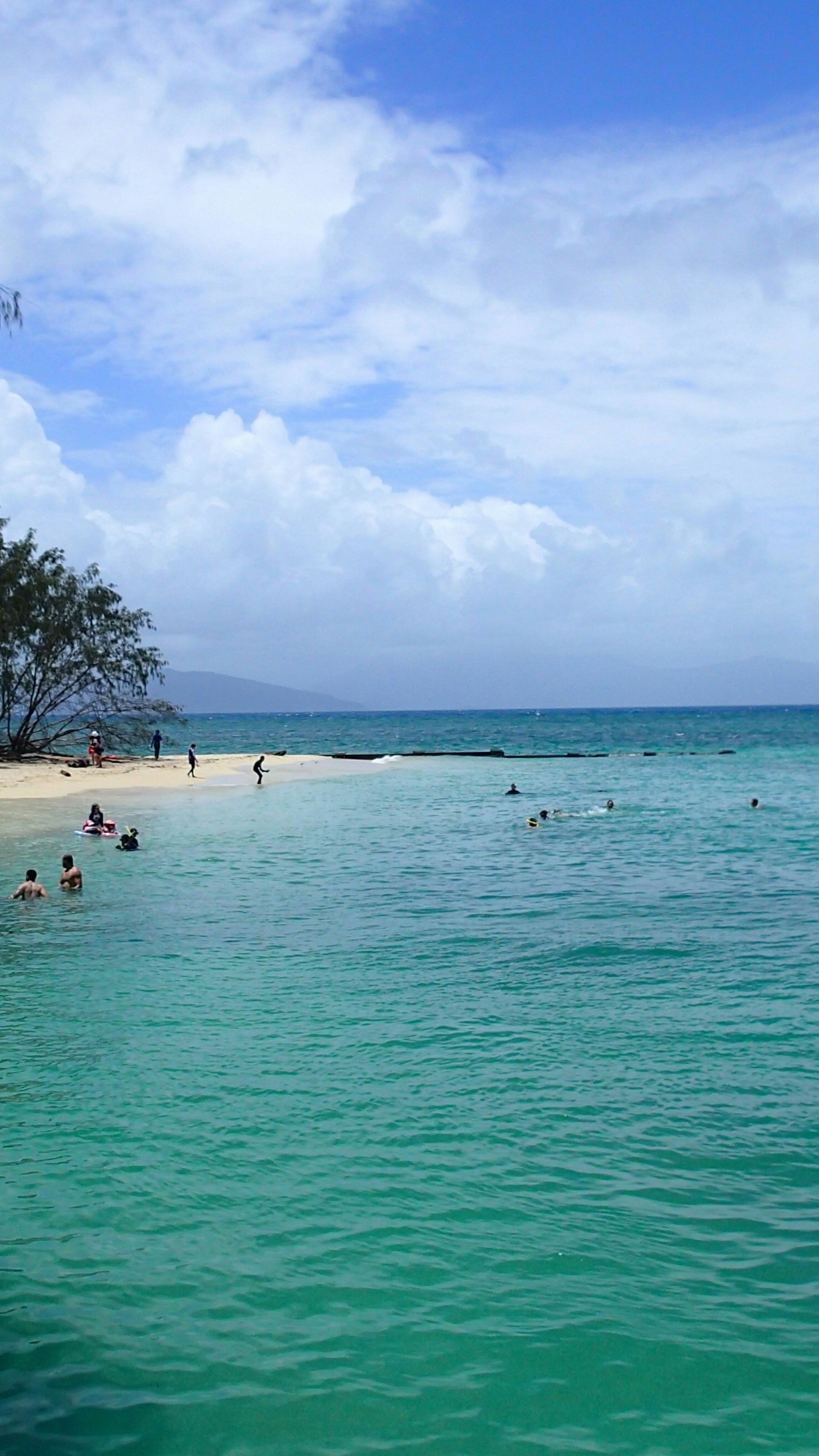 Sunny Tropical Beach Scene