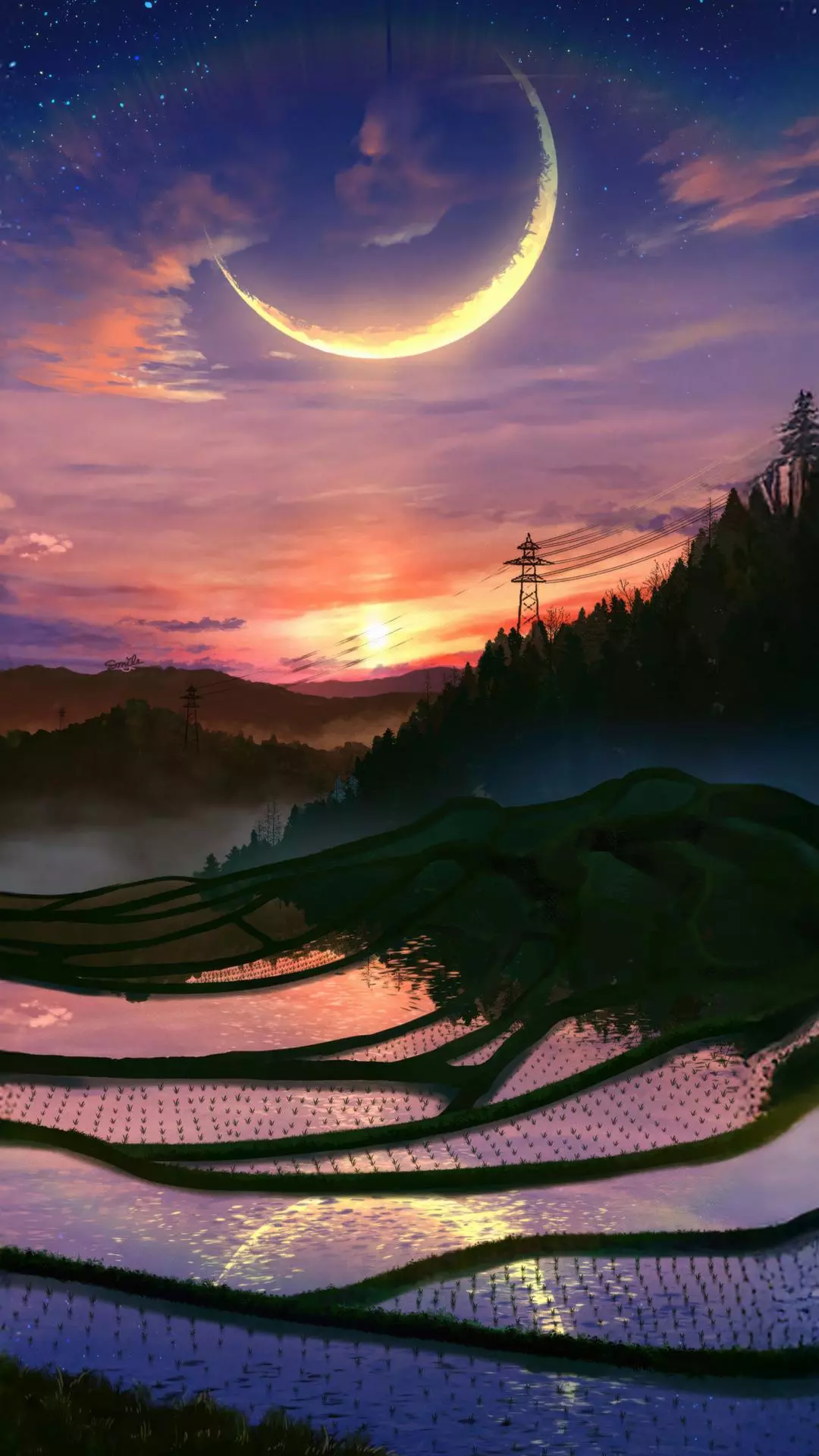 Landscapes