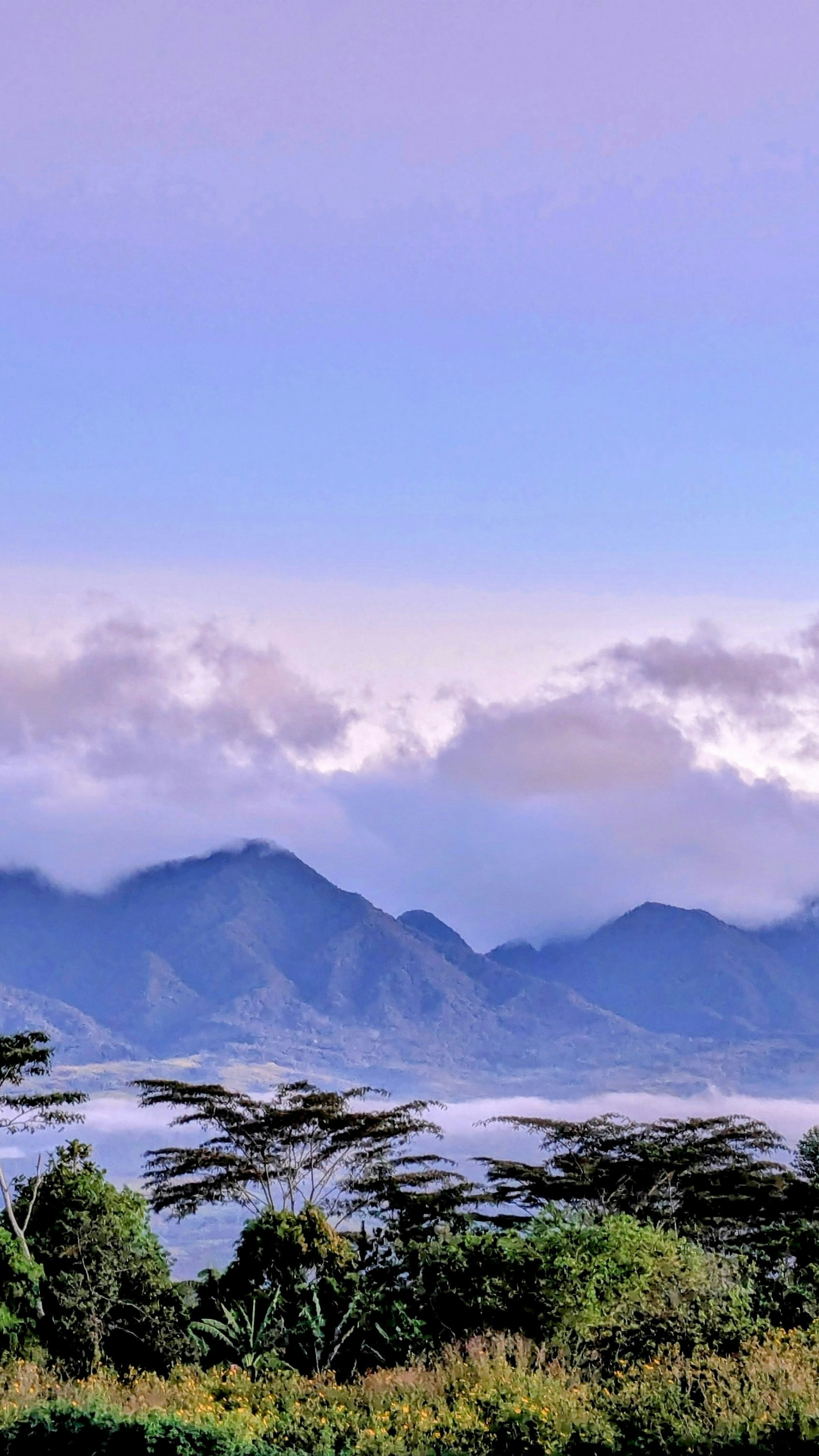 Landscapes
